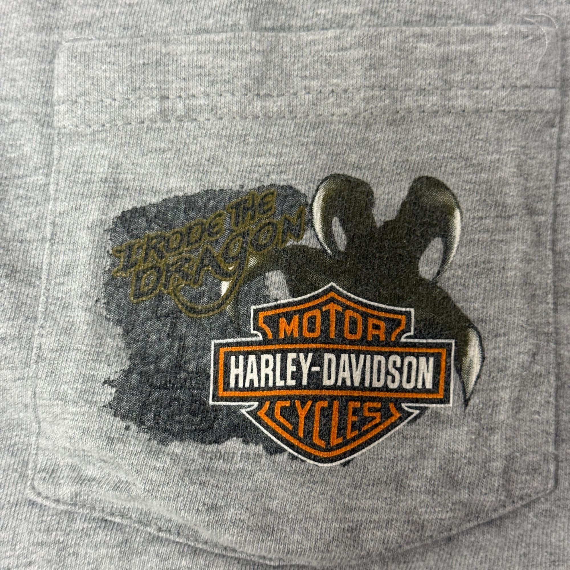 Harley Davidson Vtg Harley Davidson Heather SMOKEY MOUNTAIN DRAGON Shirt Size US L / EU 52-54 / 3 - 7 Thumbnail