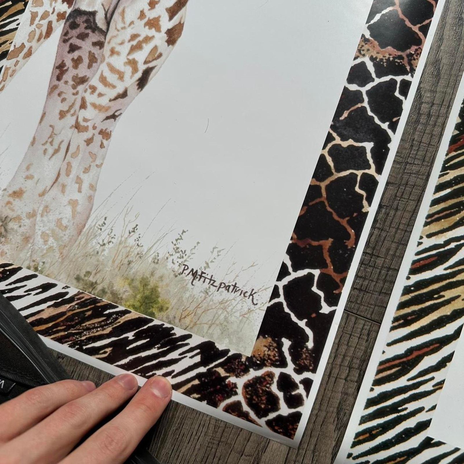 Vintage Vintage Giraffe Zebra Animal Wildlife Safari Nature Poster Size ONE SIZE - 3 Thumbnail