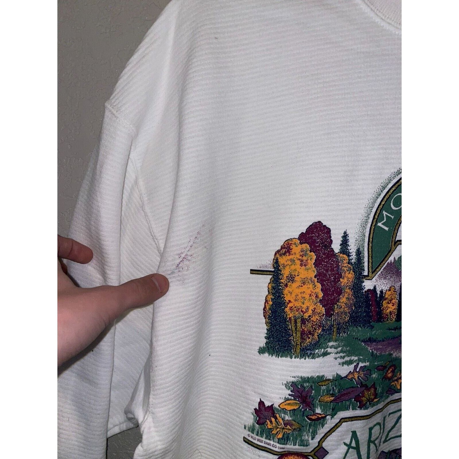 Jerzees Vintage Arizona Sweatshirt Mormon Lake Wilderness VTG 90s L Size US L / EU 52-54 / 3 - 7 Thumbnail