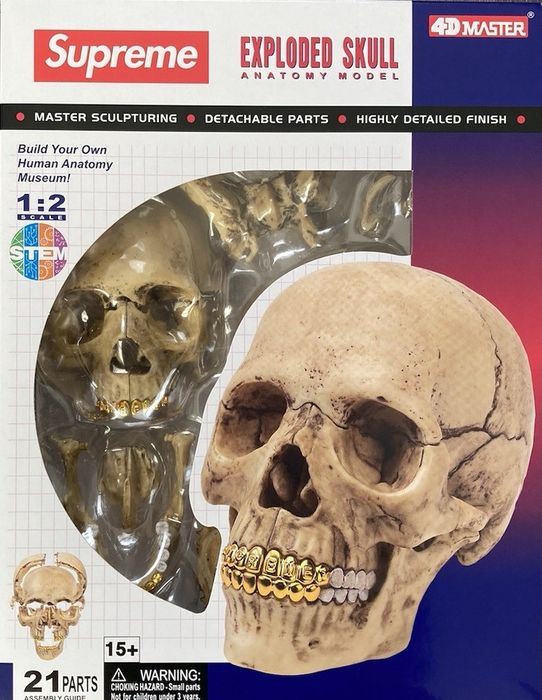 Supreme Supreme 4D Model Human Skull | Grailed