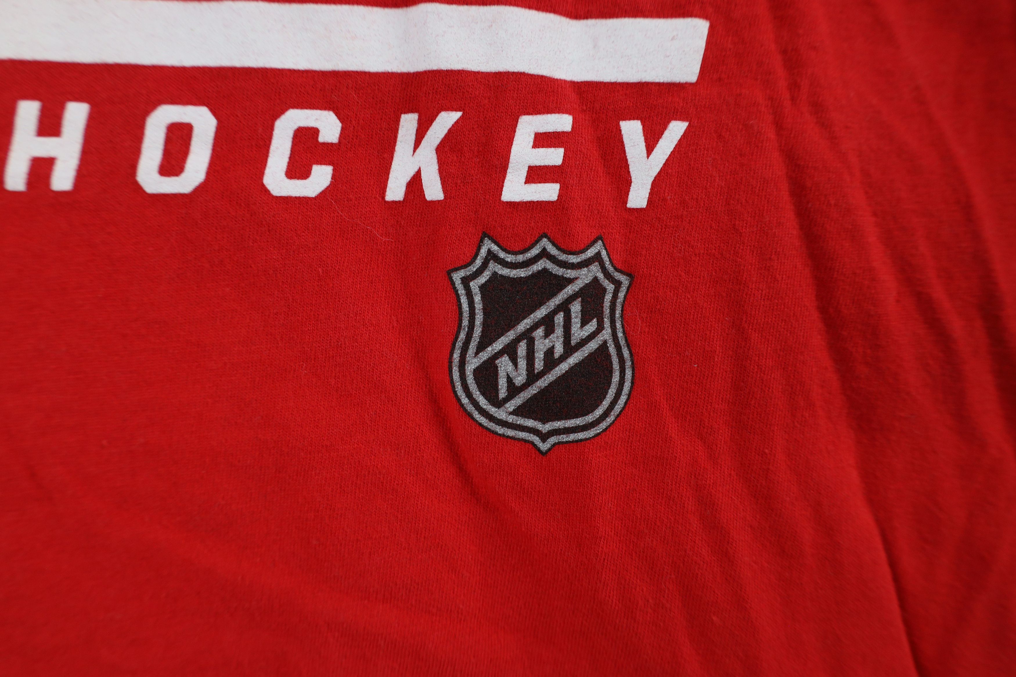 Vintage Fanatics Pro Detroit Red Wings Hockey Long Sleeve T-Shirt Size US L / EU 52-54 / 3 - 6 Thumbnail