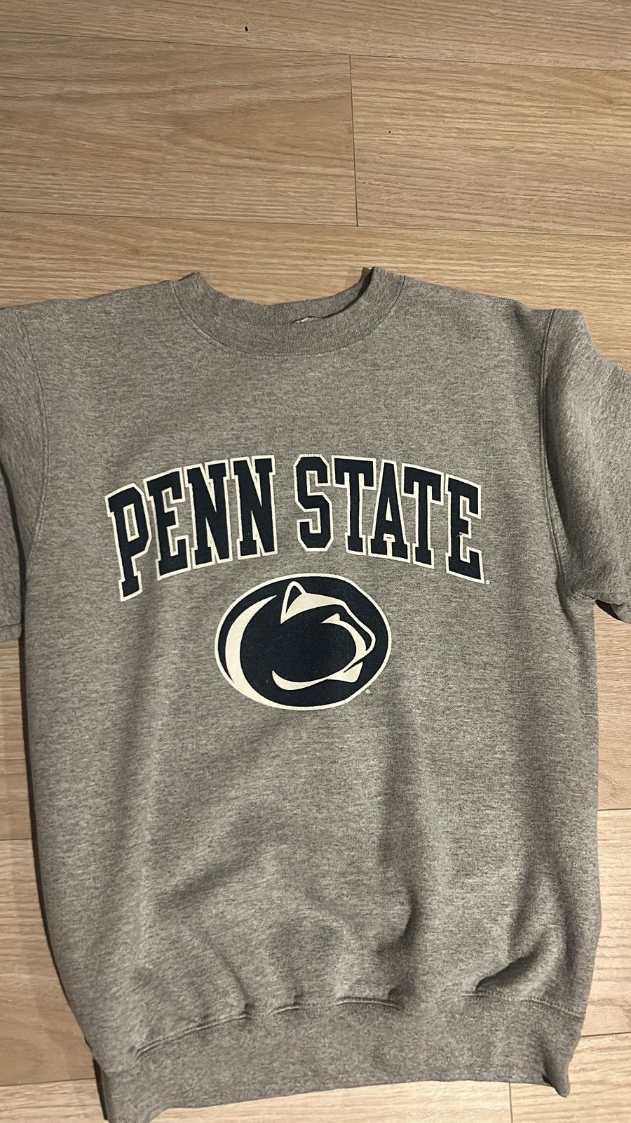 Champion PENN STATE SWEATER Size US M / EU 48-50 / 2 - 1 Thumbnail