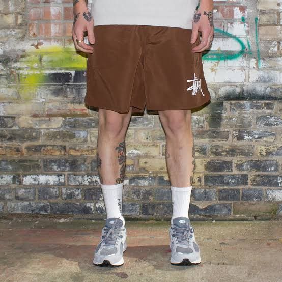 Stussy STUSSY BIG BASIC WATER SHORTS BROWN Size US 33 - 2 Thumbnail
