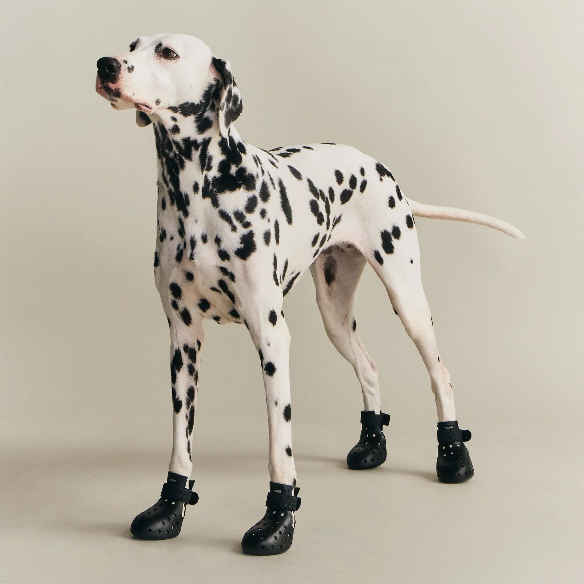 Kith (Size M) Kith for wagwear WagWellies Mojave Black Size ONE SIZE - 8 Thumbnail