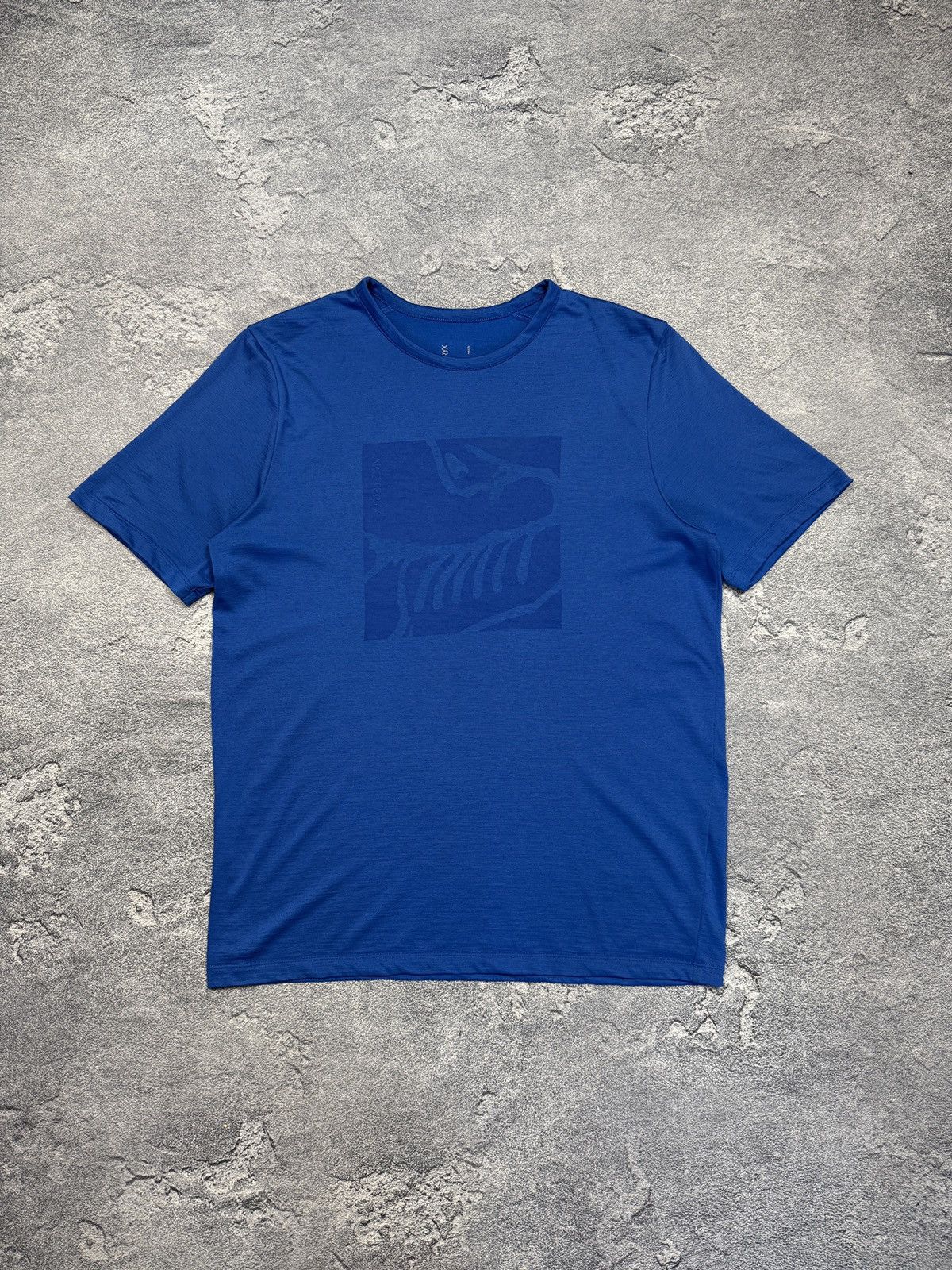 Arc'teryx Arcteryx Tee Size US S / EU 44-46 / 1 - 1 Thumbnail