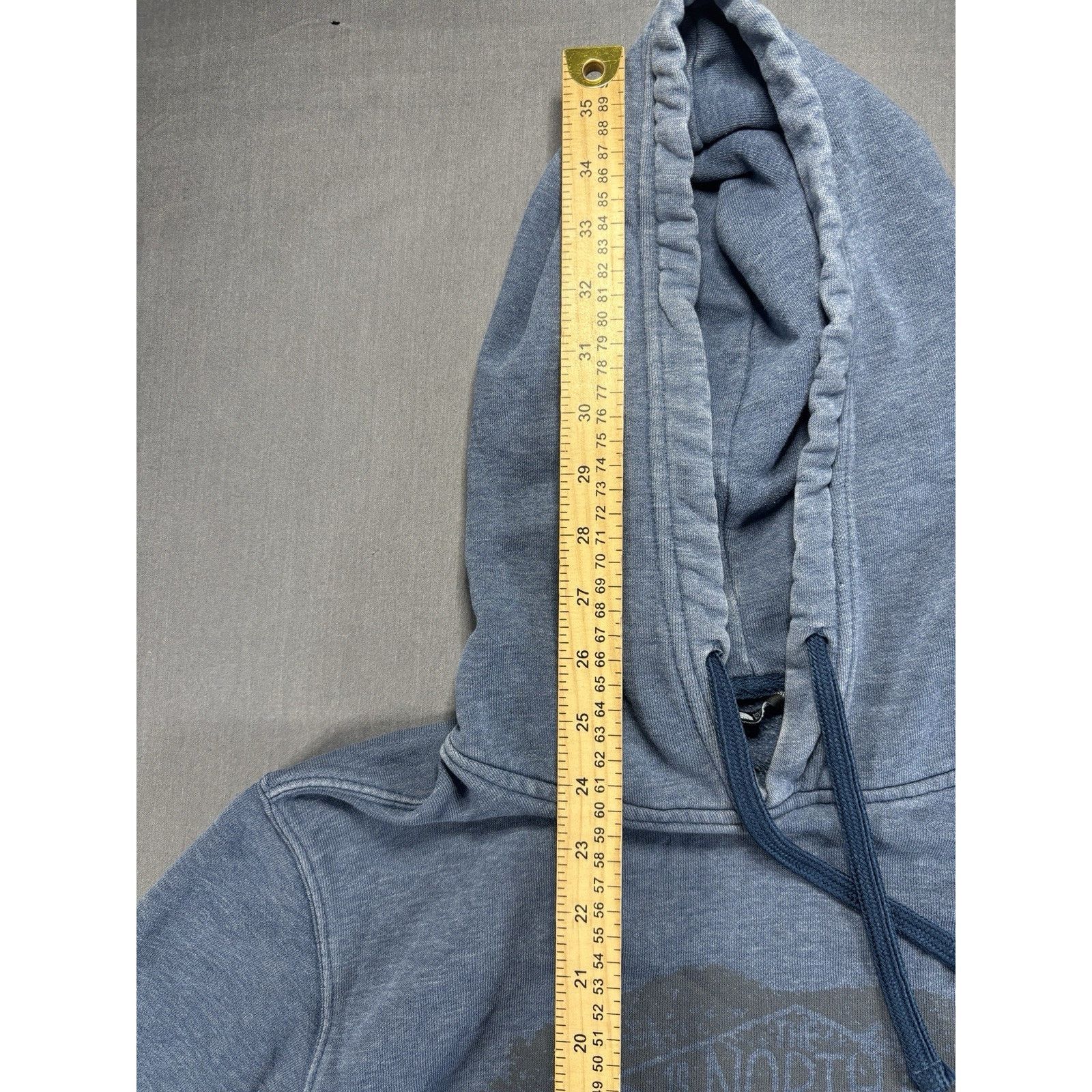 The North Face North Face Pullover Hoodie Mens M Blue Grizzly Bear Graphic Size US M / EU 48-50 / 2 - 6 Thumbnail