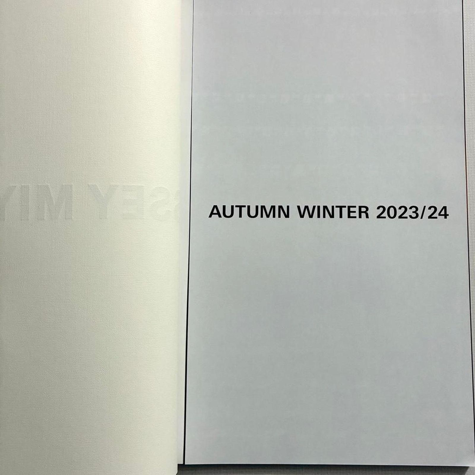 Issey Miyake × Japanese Brand × Pleats Please Issey Miyake Issey Miyake autumn winter 2023-2024 look book catalog Size ONE SIZE - 2 Thumbnail
