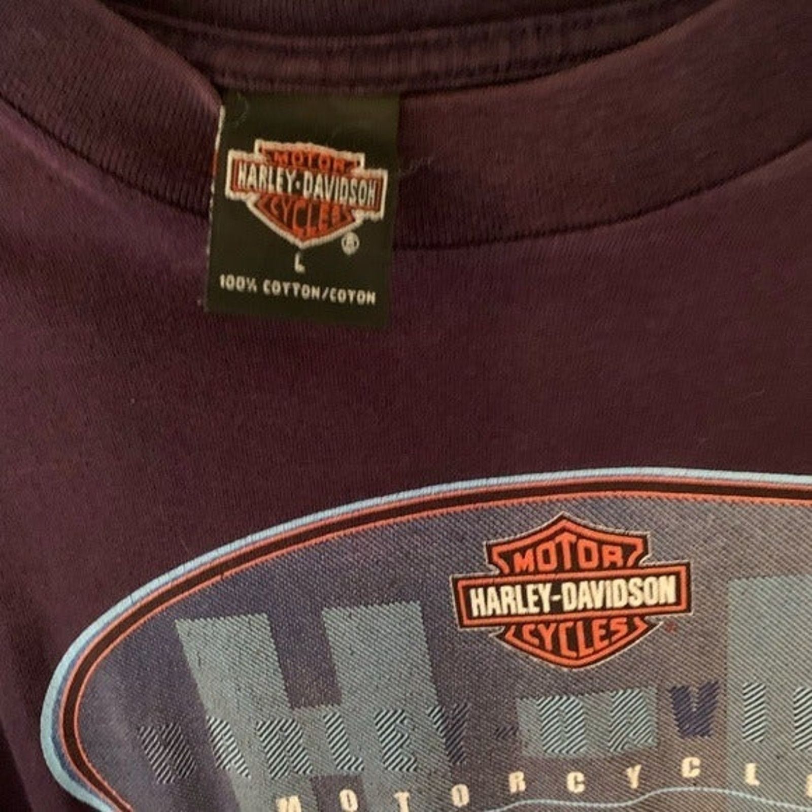 Harley Davidson VINTAGE 2000 DAYTONA HARLEY DAVIDSON SINGLE STITCH SHIRT Size US L / EU 52-54 / 3 - 4 Thumbnail