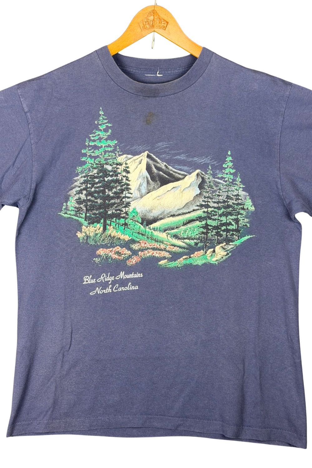 Vintage 90s Blue Ridge Mountains Scenic Tee (Single Stitch) Size US M / EU 48-50 / 2 - 3 Thumbnail