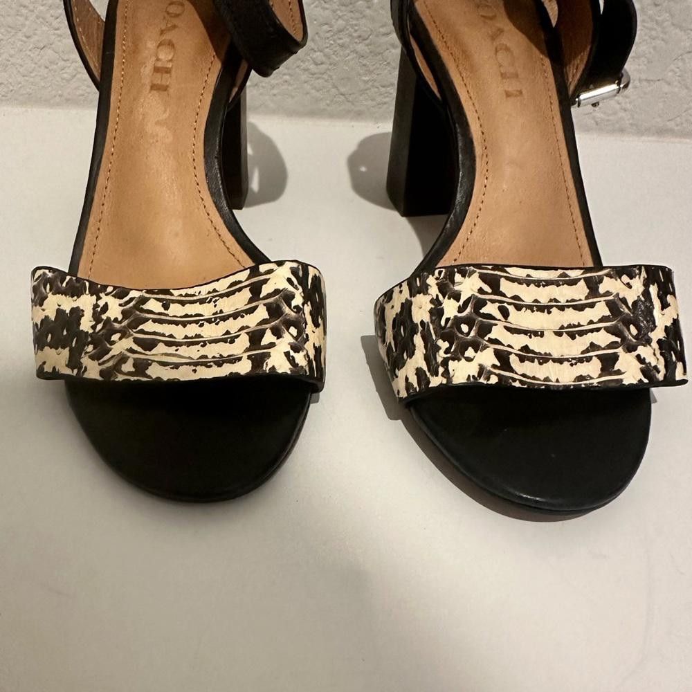 Coach Coach Paige Leather Black White Snake Block Heel Sandals 5 Size US 5 / IT 35 - 5 Thumbnail
