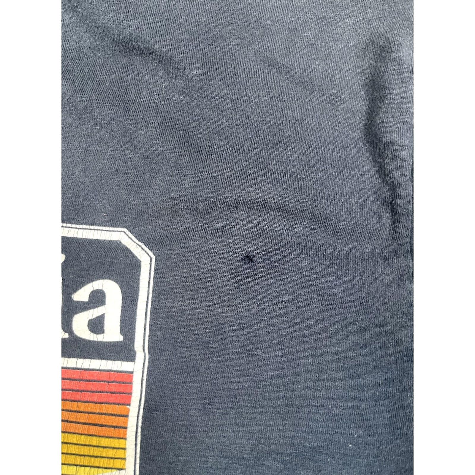 Vintage Columbia Shirt Mens Large Blue Established 1938 Logo Graphic Outdoor Hiking Tee Size US L / EU 52-54 / 3 - 5 Thumbnail