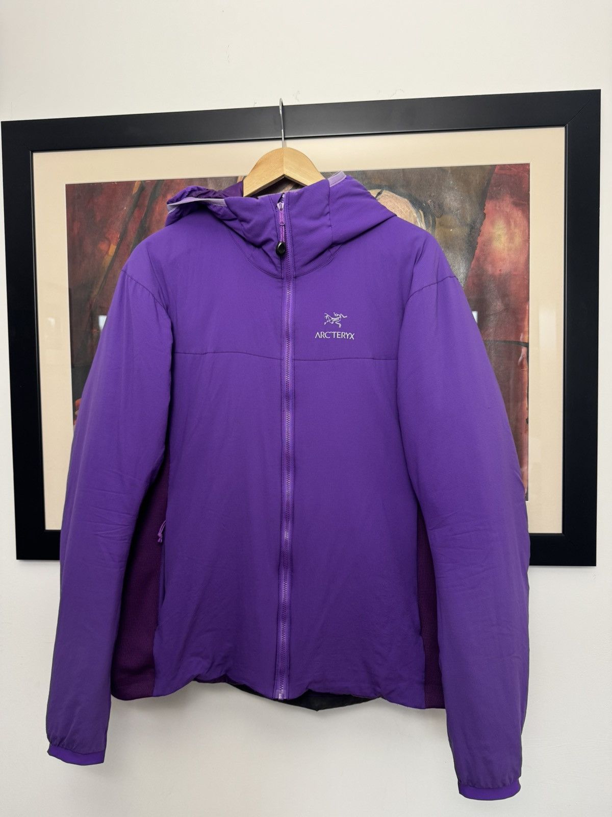 ジャケット Arc'teryx Jackets Purple Arc`teryx Purple | eBay