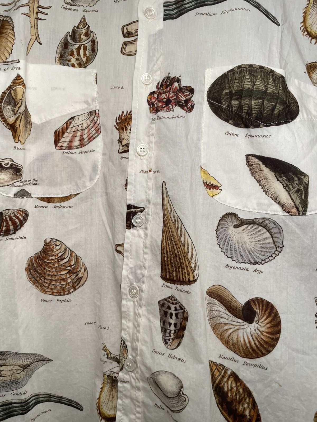Paul Harnden Shoemakers Paul Harnden Shoemakers “Shells” print shirt Size US XXL / EU 58 / 5 - 3 Thumbnail