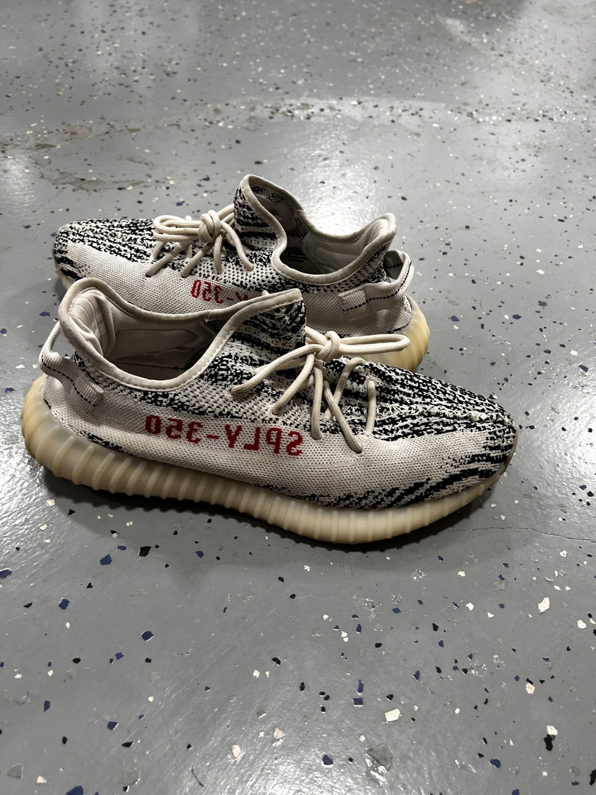 Zebra Yeezy 350