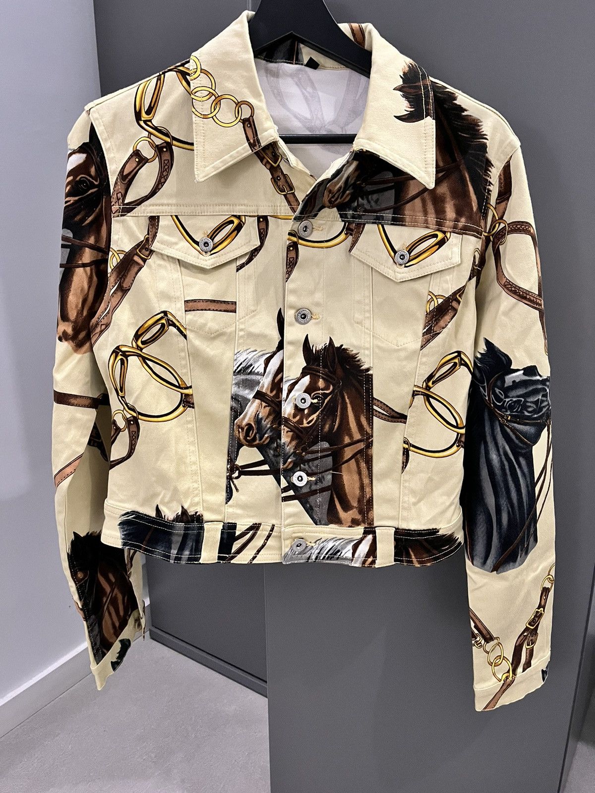 Dolce & Gabbana Dolce & Gabbana horseprint jacket Size M / US 6-8 / IT 42-44 - 1 Thumbnail