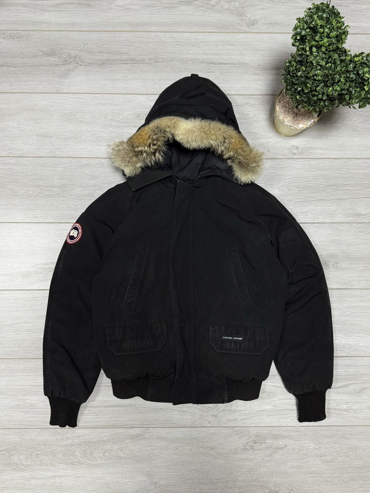 Canada Goose Canada Goose Chilliwack bomber down jacket fur Size US M / EU 48-50 / 2 - 3 Thumbnail