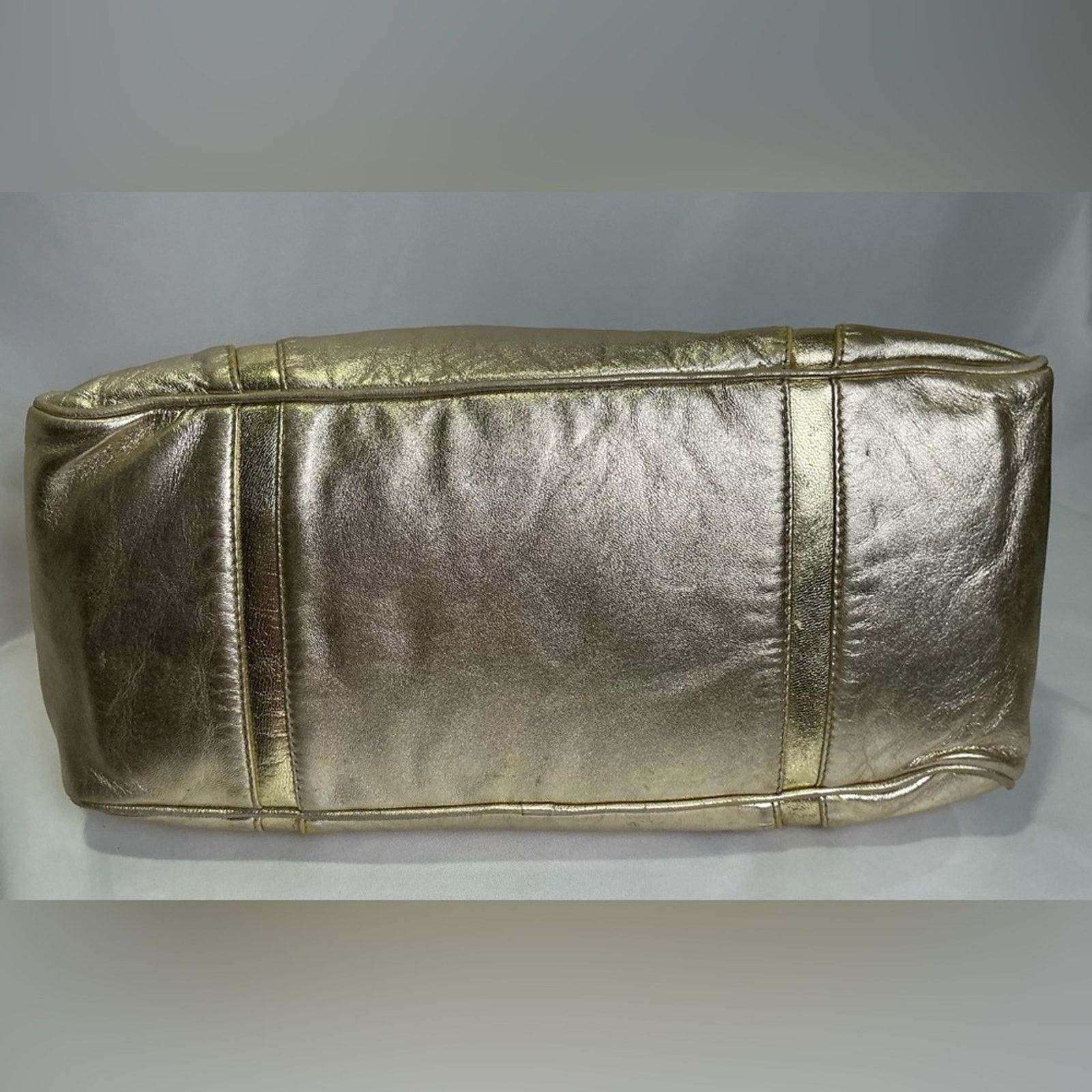 Loewe Loewe Leather Gold Amazona Satchel Bag with Glossy Finish Size ONE SIZE - 10 Thumbnail