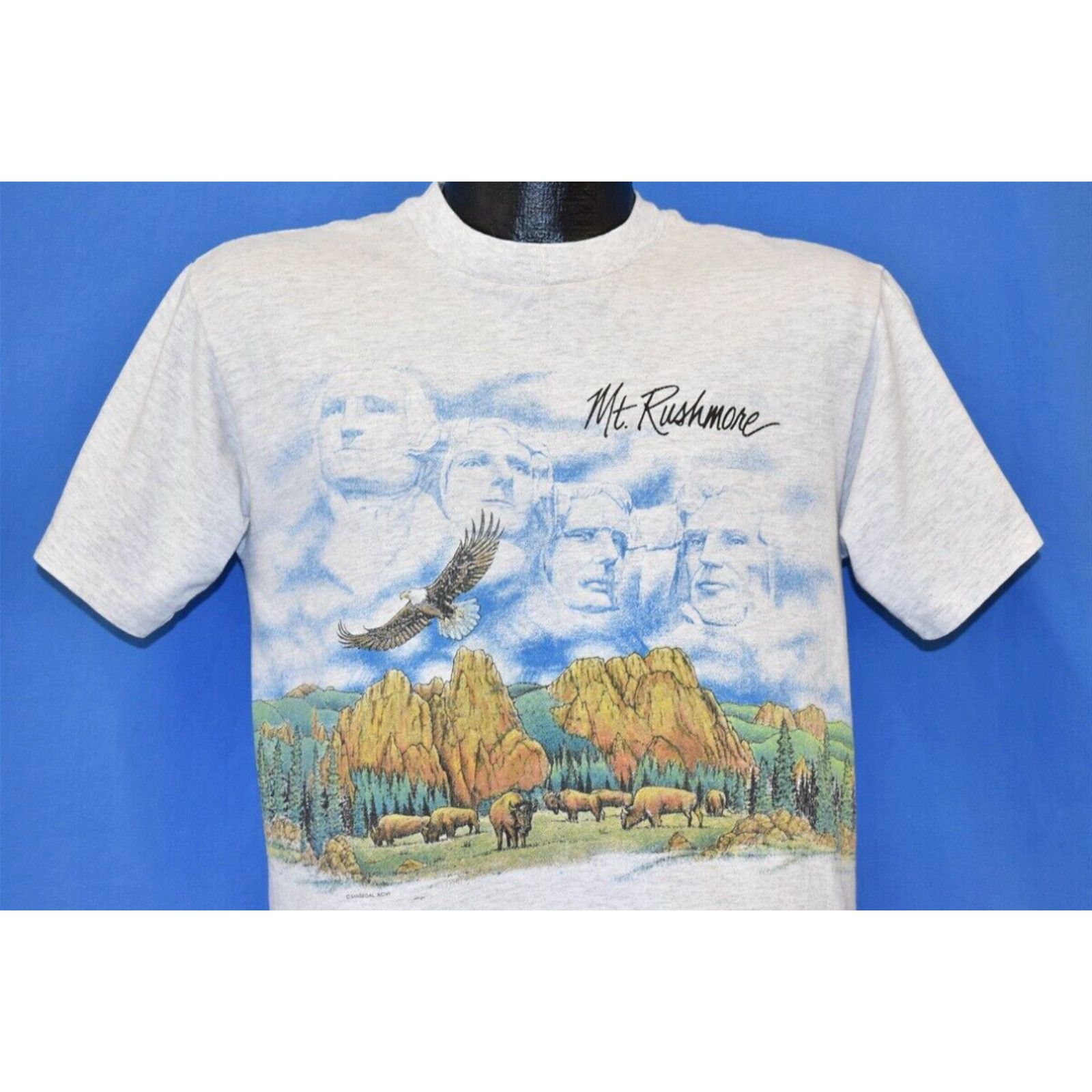 image of Anvil Vintage 90's Mount Rushmore Eagle Bison Nature Animal President Tourist T-Shirt M in White (S