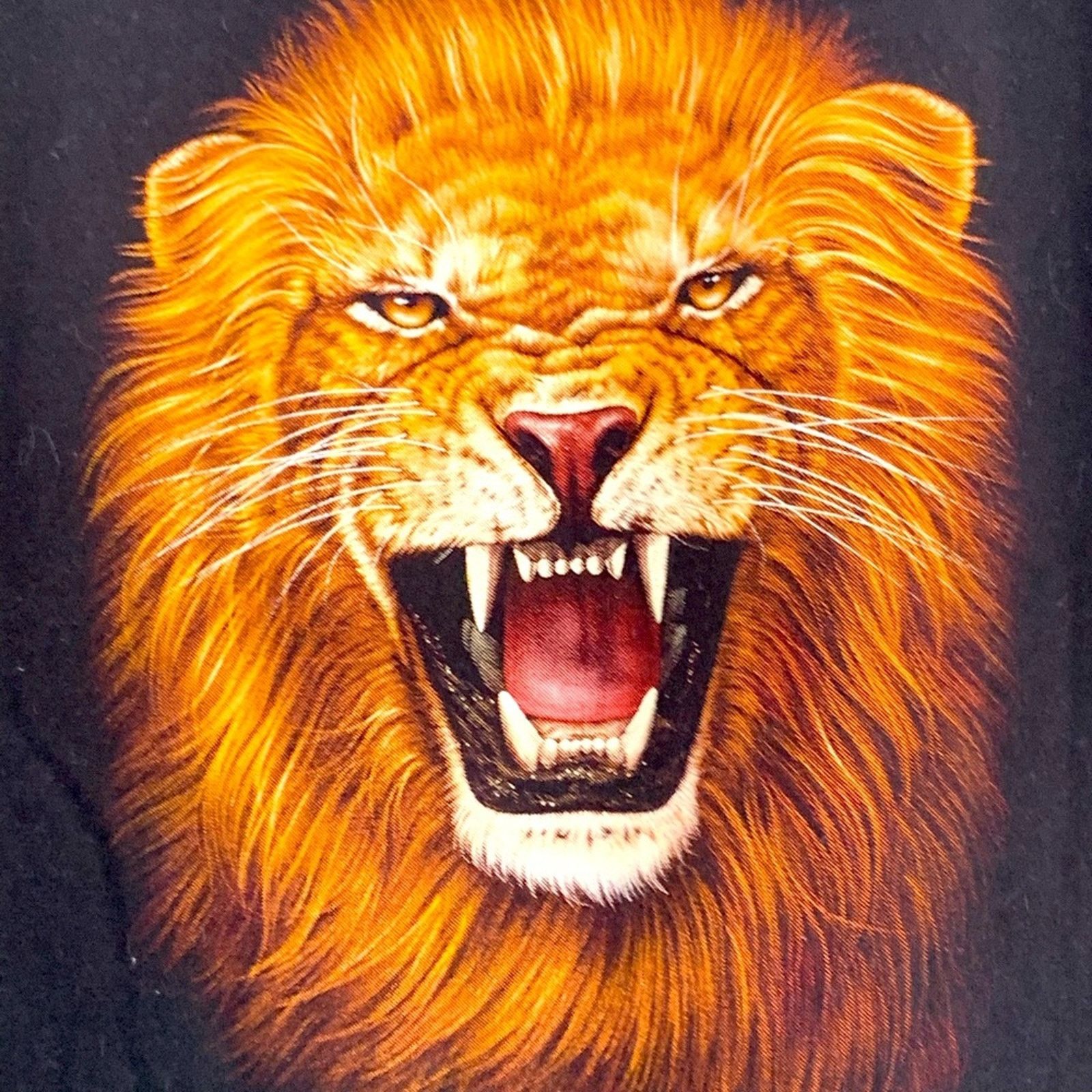 Vintage VINTAGE YOUTH ROCK EAGLE NATURE LION PRINT SIZE MEDIUM 8-10 Size US M / EU 48-50 / 2 - 4 Thumbnail