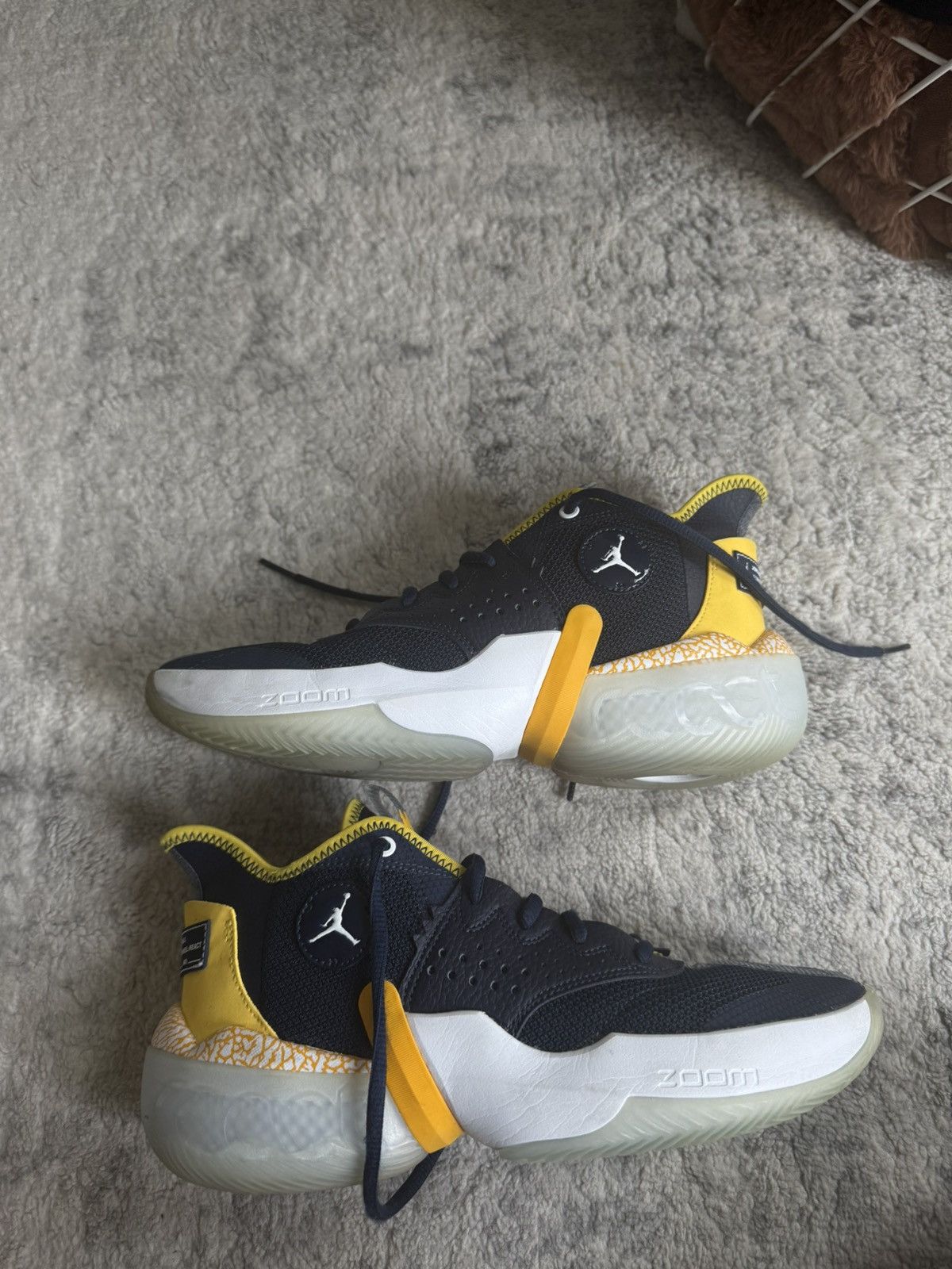 Jordan Brand Michigan PE’s Size US 8 / EU 41 - 1 Thumbnail