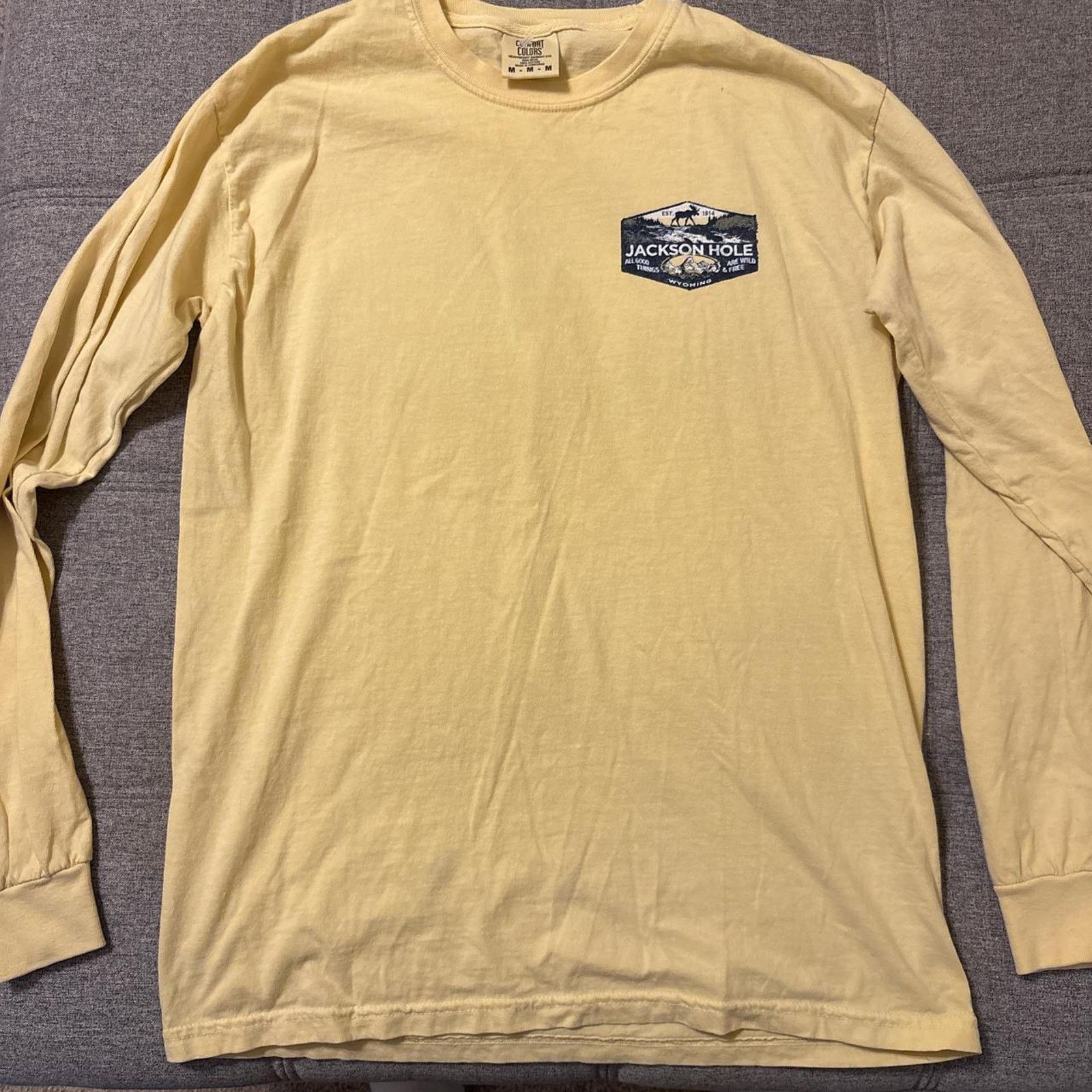 Comfort Colors Comfort colors jackson hole longsleeve Size US M / EU 48-50 / 2 - 1 Thumbnail