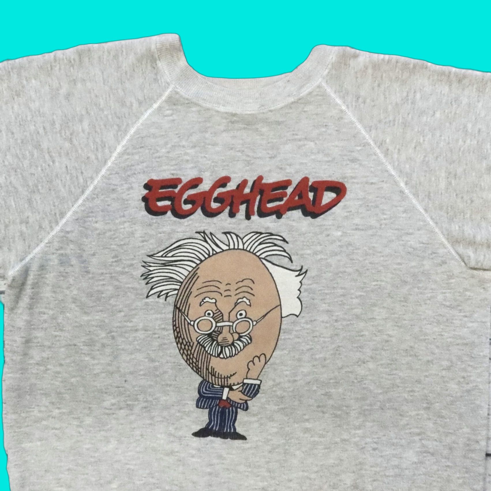 Hanes Vintage Albert Einstein Egghead Crewneck Sweatshirt L Gray Mens Hanes Shirt Size US L / EU 52-54 / 3 - 1 Thumbnail