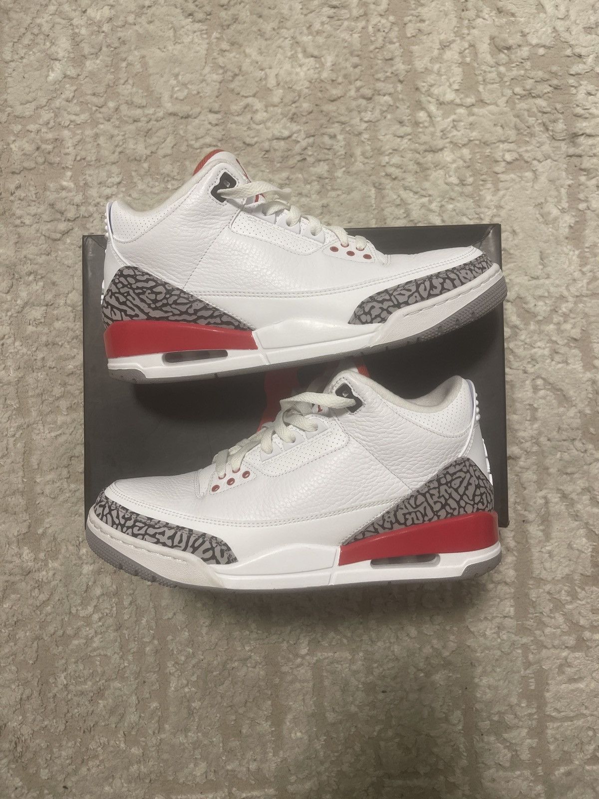 jordan hall of fame 3s
