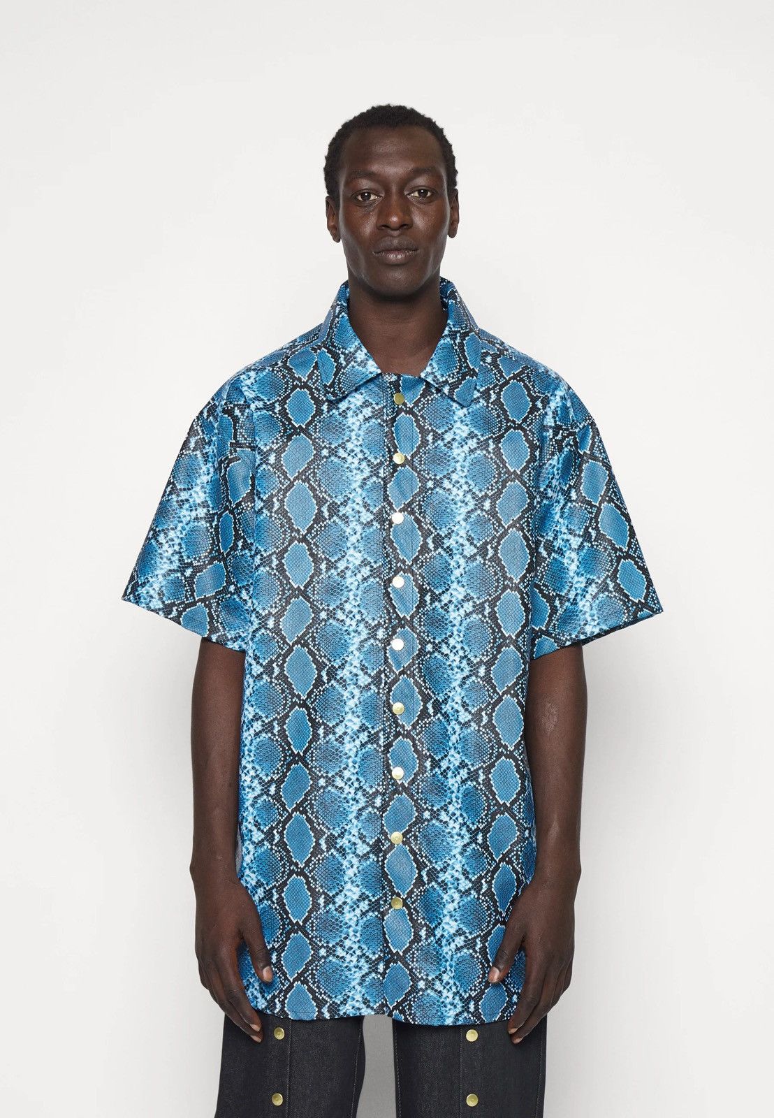 Other !DS! SS23 Nikolaj Storm Suarezito Mykonos Snake Shirt Size US XL / EU 56 / 4 - 6 Thumbnail
