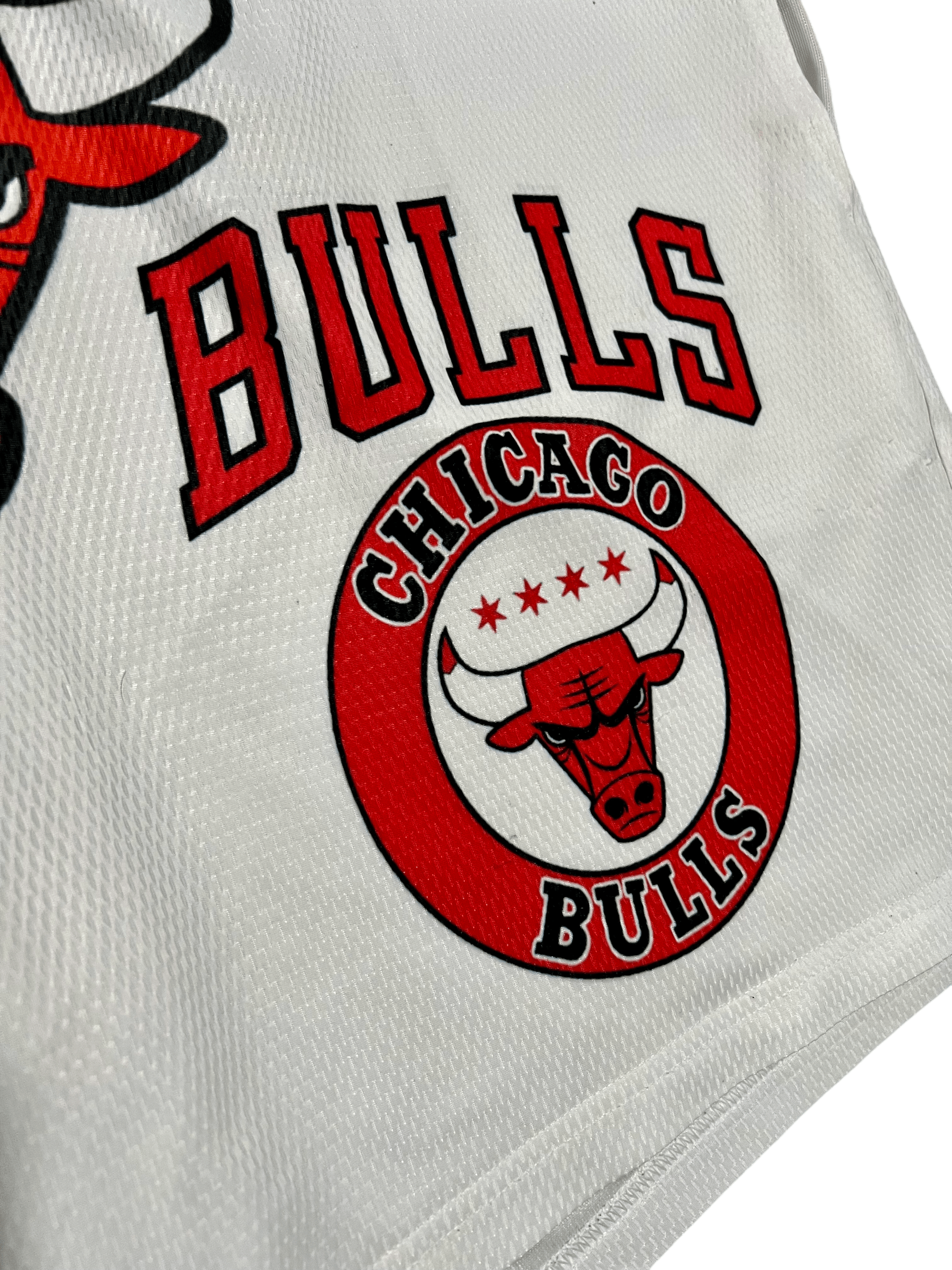 Athletic Works Chicago Bulls Benny The Bull Athletic Works Athletic Shorts Size US 42 / EU 58 - 4 Thumbnail