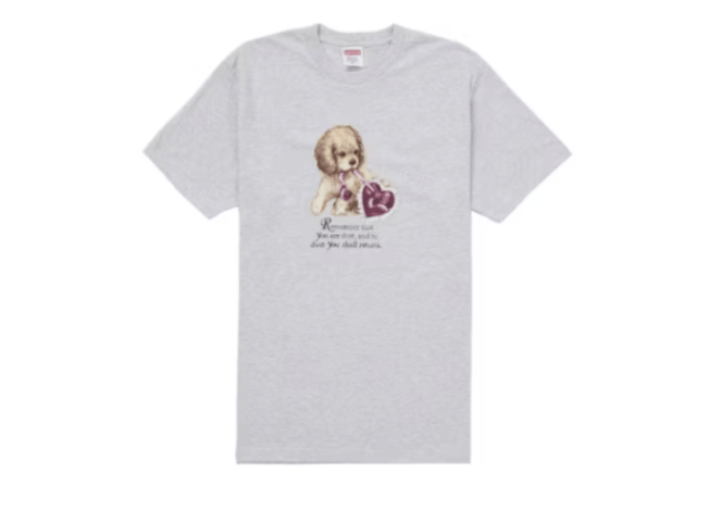 Supreme Supreme Dust Tee Ash Grey XL FW25 BNSEALED SiZE XL Size US XL / EU 56 / 4 - 5 Thumbnail