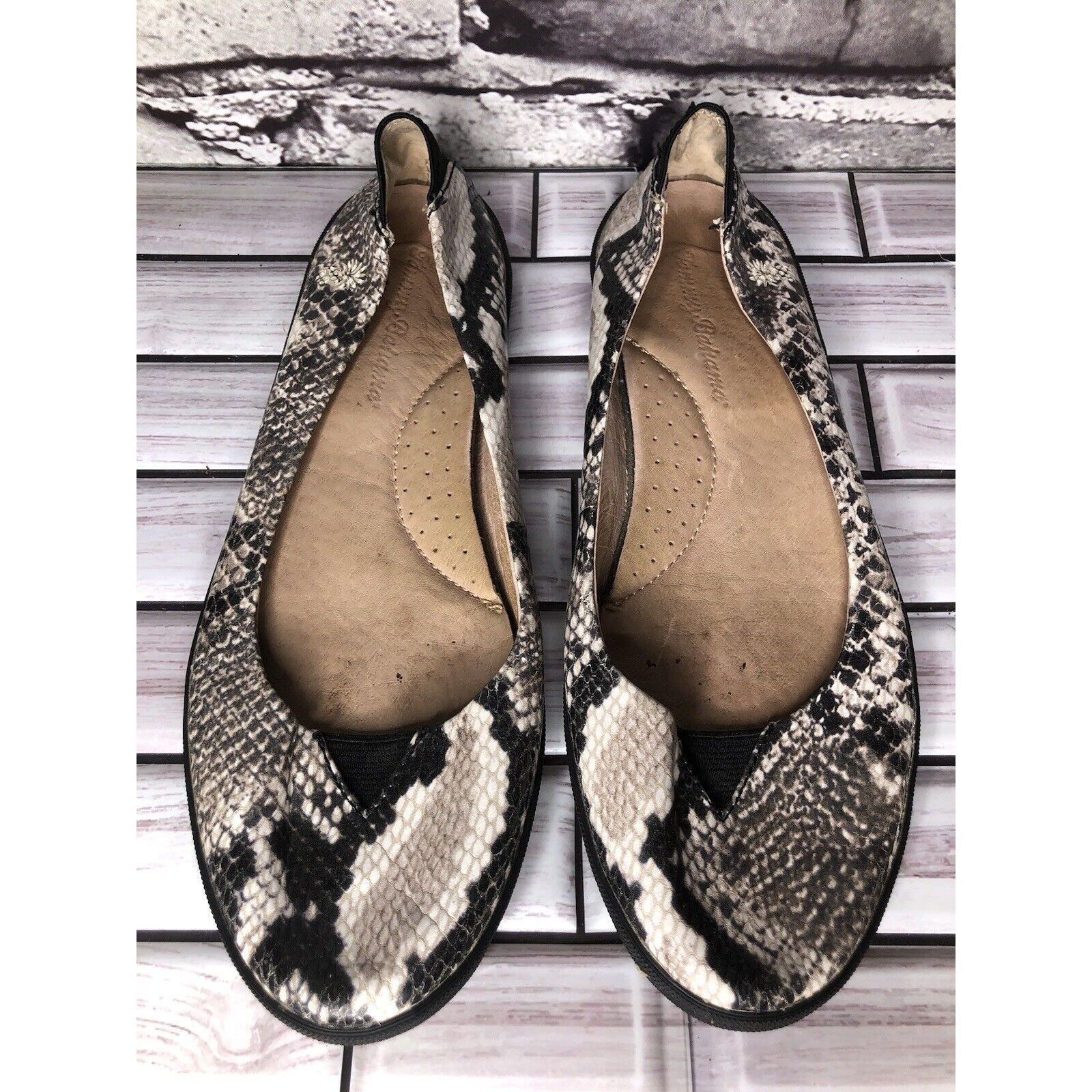 Tommy Bahama Tommy Bahama Odesa Ivory Black Leather Snake Skin Ballet Fla Size US 8 / IT 38 - 9 Thumbnail