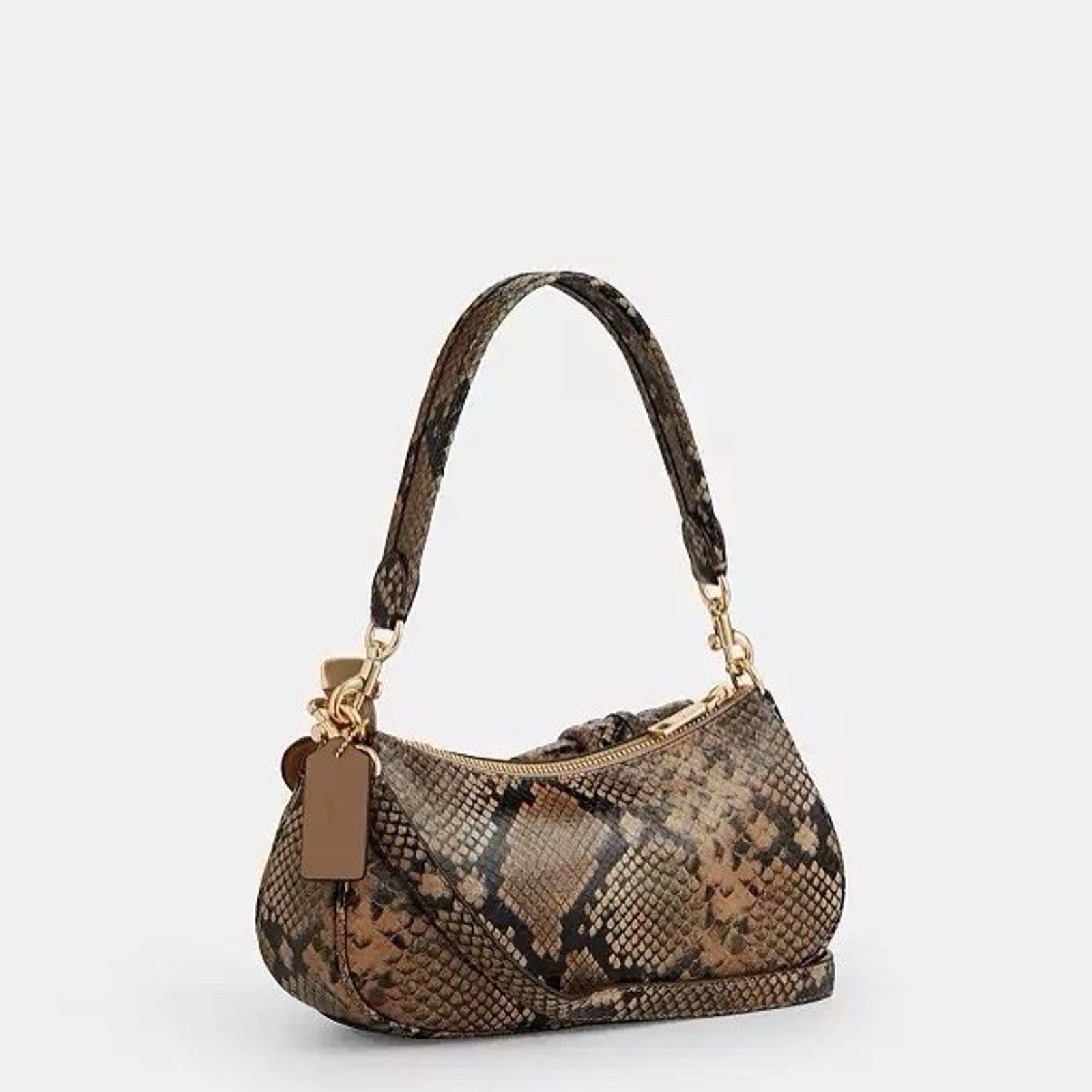 Coach NWT Coach Ashton Bag Snake Leather CCE38 Mushroom Multi Size ONE SIZE - 14 Thumbnail