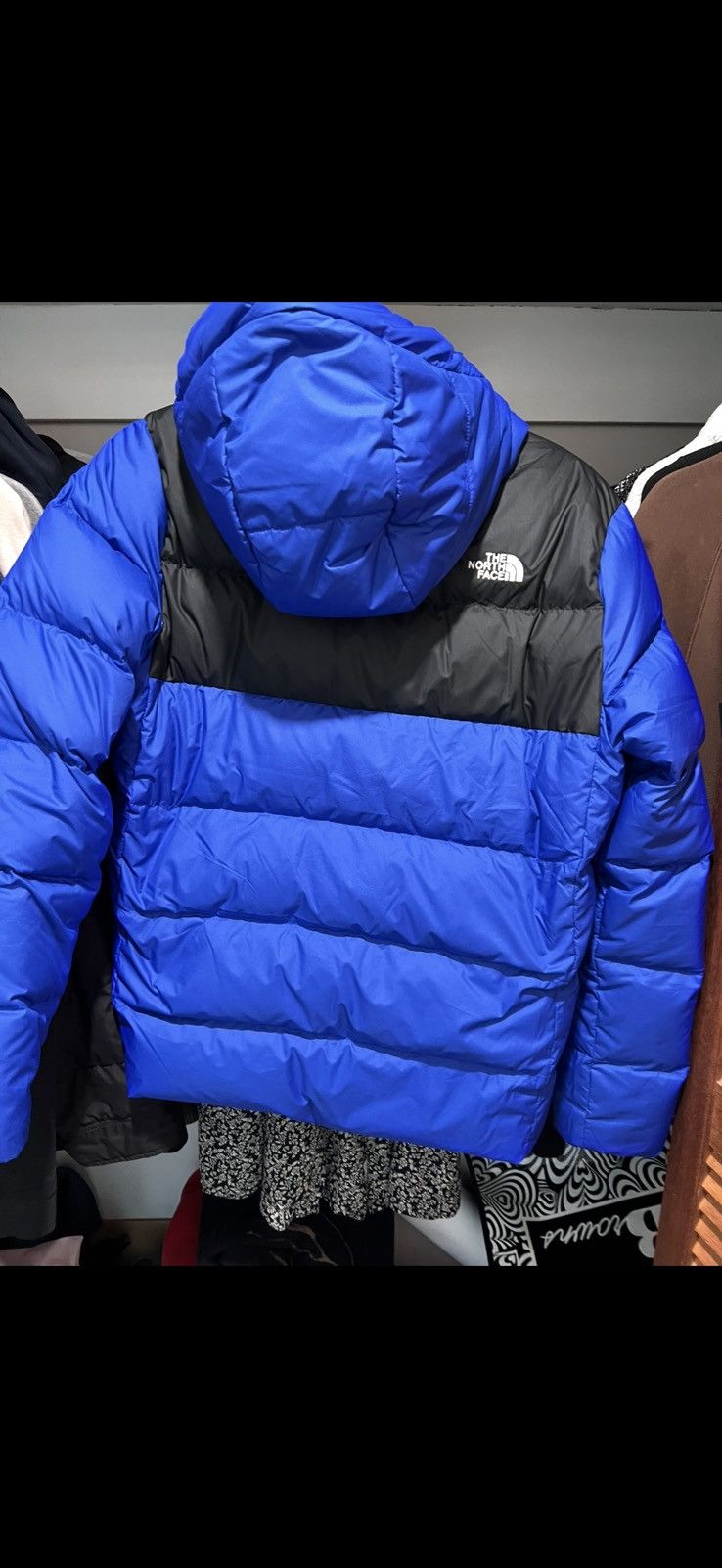 The North Face The North Face Blue 550 Puffer Size US S / EU 44-46 / 1 - 5 Thumbnail