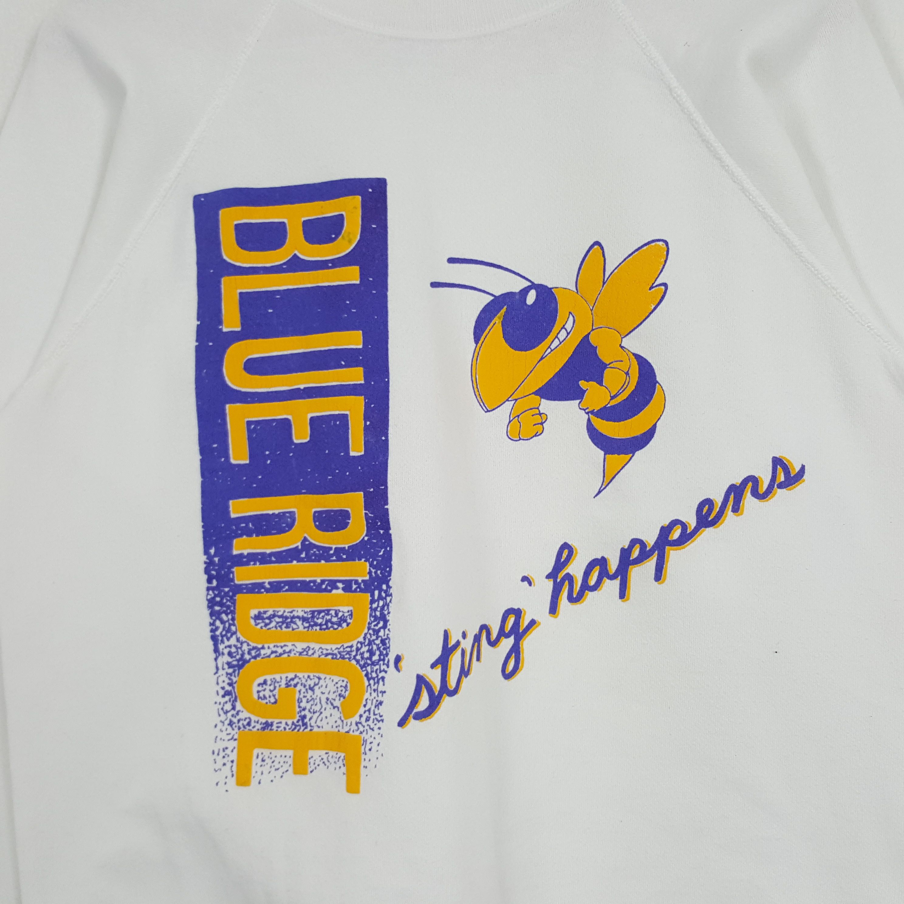 Vintage Vintage 90's Blue Ridge American Sportwear Sweatshirt Size US M / EU 48-50 / 2 - 2 Thumbnail