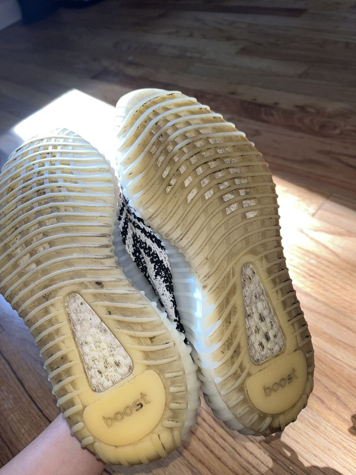 Yeezy 350 zebra