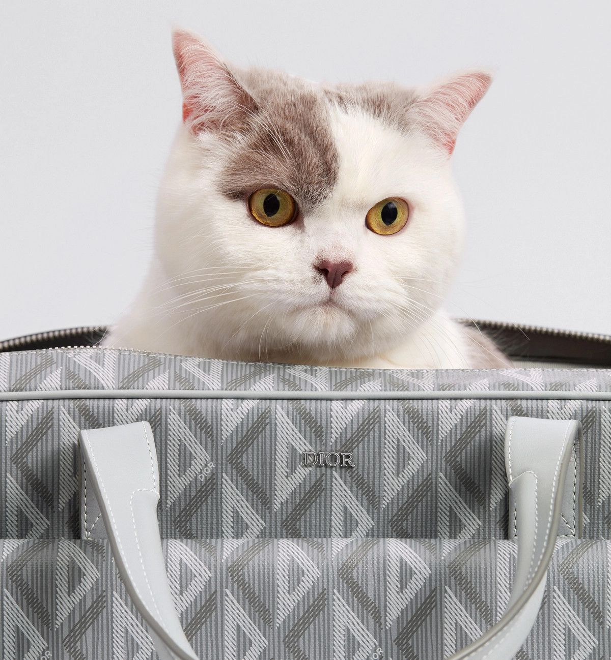 Dior o1bcso1str0126 Size: OS/Hit The Road Pet Carrier Bag in Grey Size ONE SIZE - 9 Thumbnail