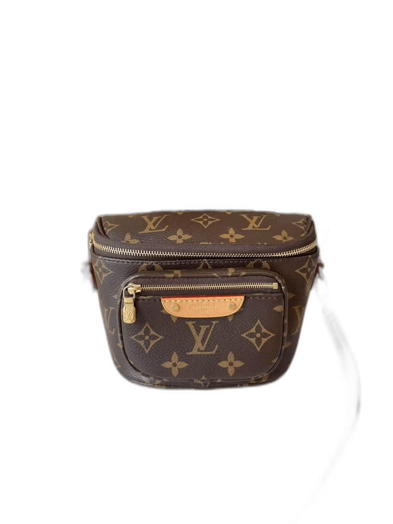 Louis Vuitton Mini Bumbag Handbag from Louis Vuitton Size ONE SIZE - 1 Thumbnail