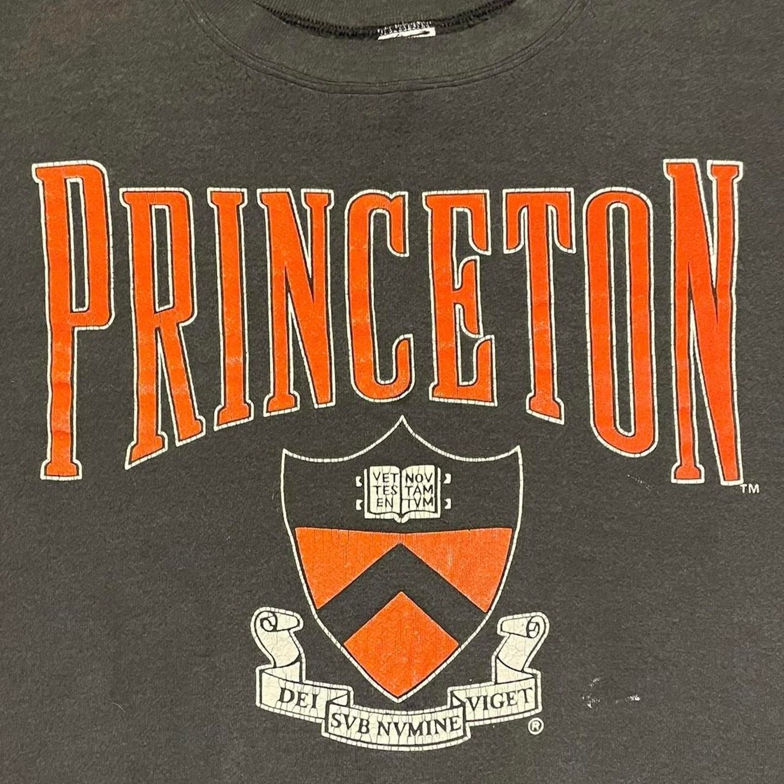 Vintage VTG 90s USA Princeton University crewneck sweatshirt Size XL Size US XL / EU 56 / 4 - 3 Thumbnail