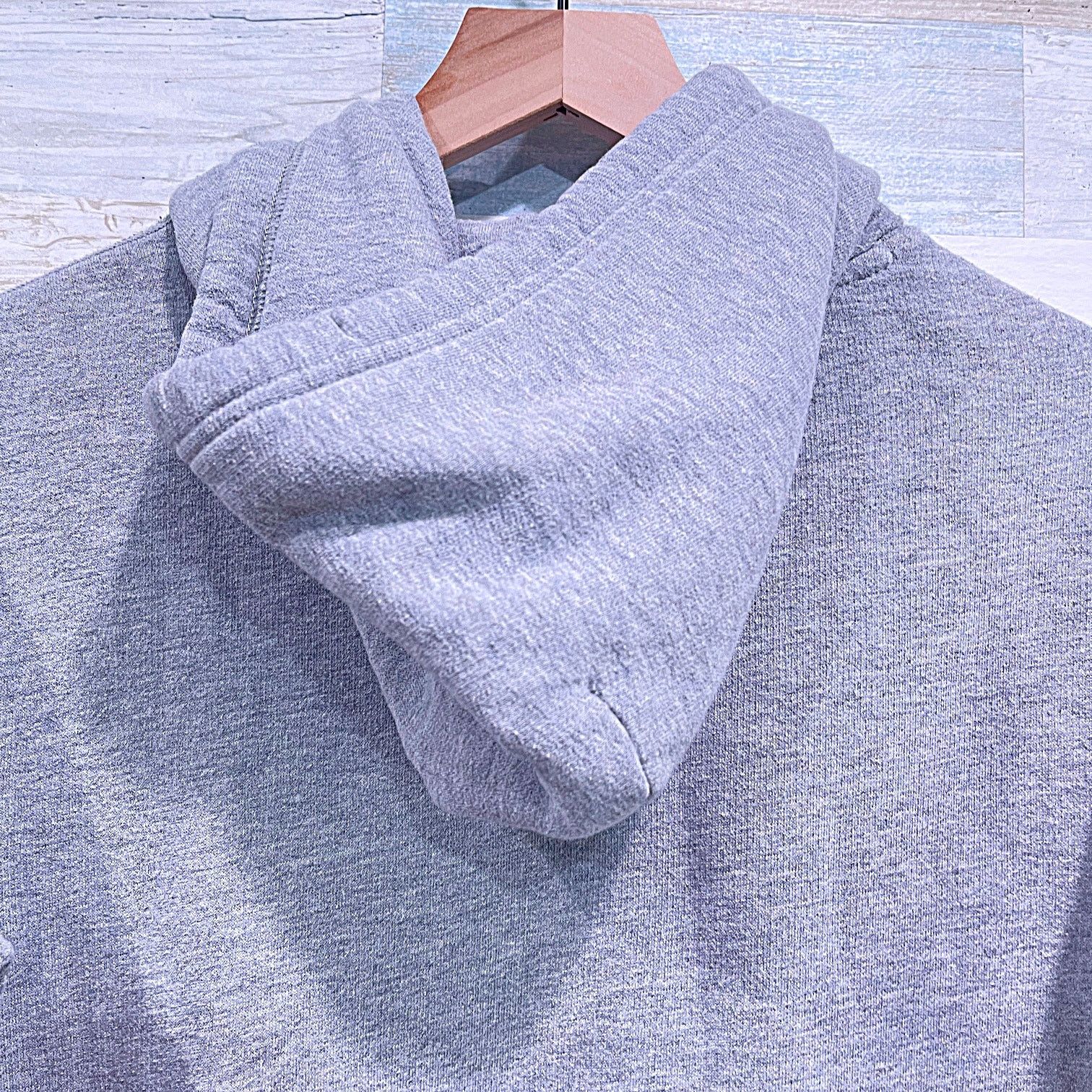 Polo Ralph Lauren POLO Ralph Lauren The RL Fleece Hoodie Heather Gray Mens XS Size US XS / EU 42 / 0 - 4 Thumbnail