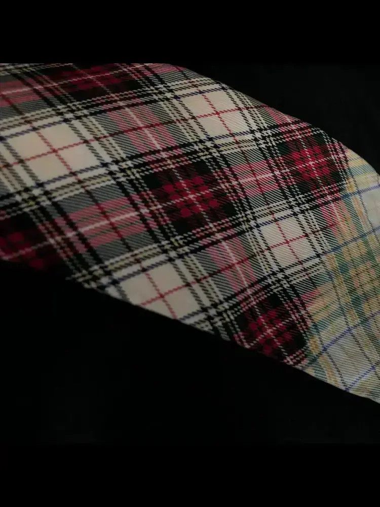 Comme des Garcons Homme Plus Comme des Garcons Homme plus 93AW plaid tie Size ONE SIZE - 4 Thumbnail