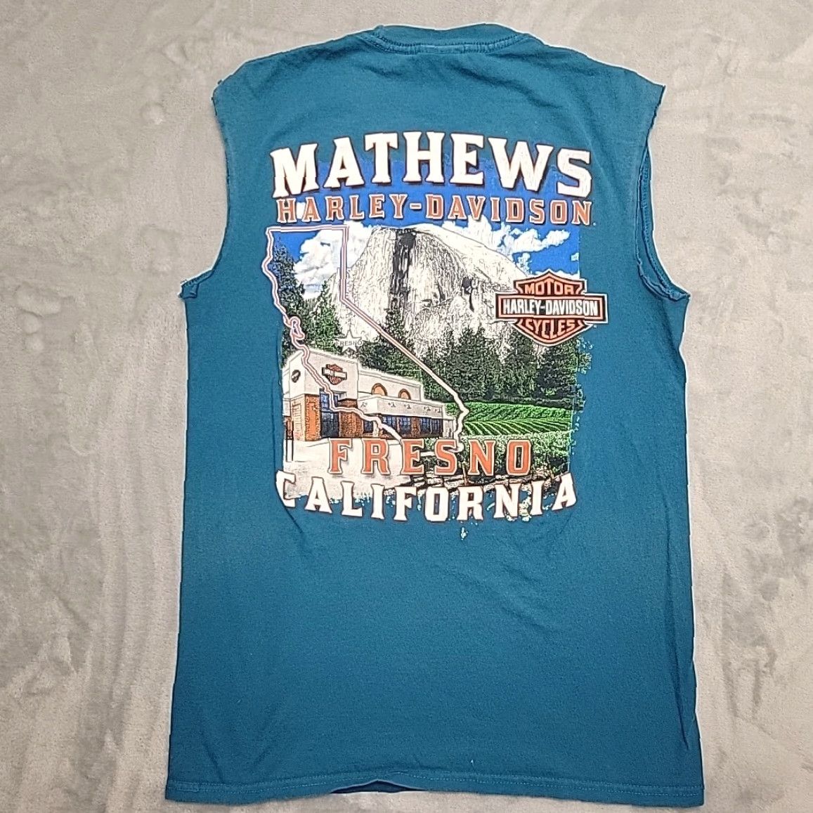 Harley Davidson VINTAGE Harley-Davidson Shirt Mens S Blue Eagle Fresno California Mathews Shirt Mens S Blue Eagle Fresno California Mathews Size US S / EU 44-46 / 1 - 5 Thumbnail