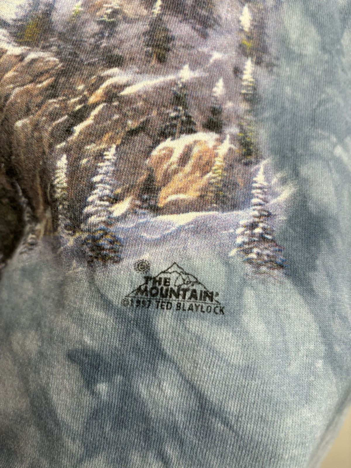 The Mountain Vintage 1997 The Mountain Eagle Tie Dye Tee Size US XL / EU 56 / 4 - 8 Thumbnail