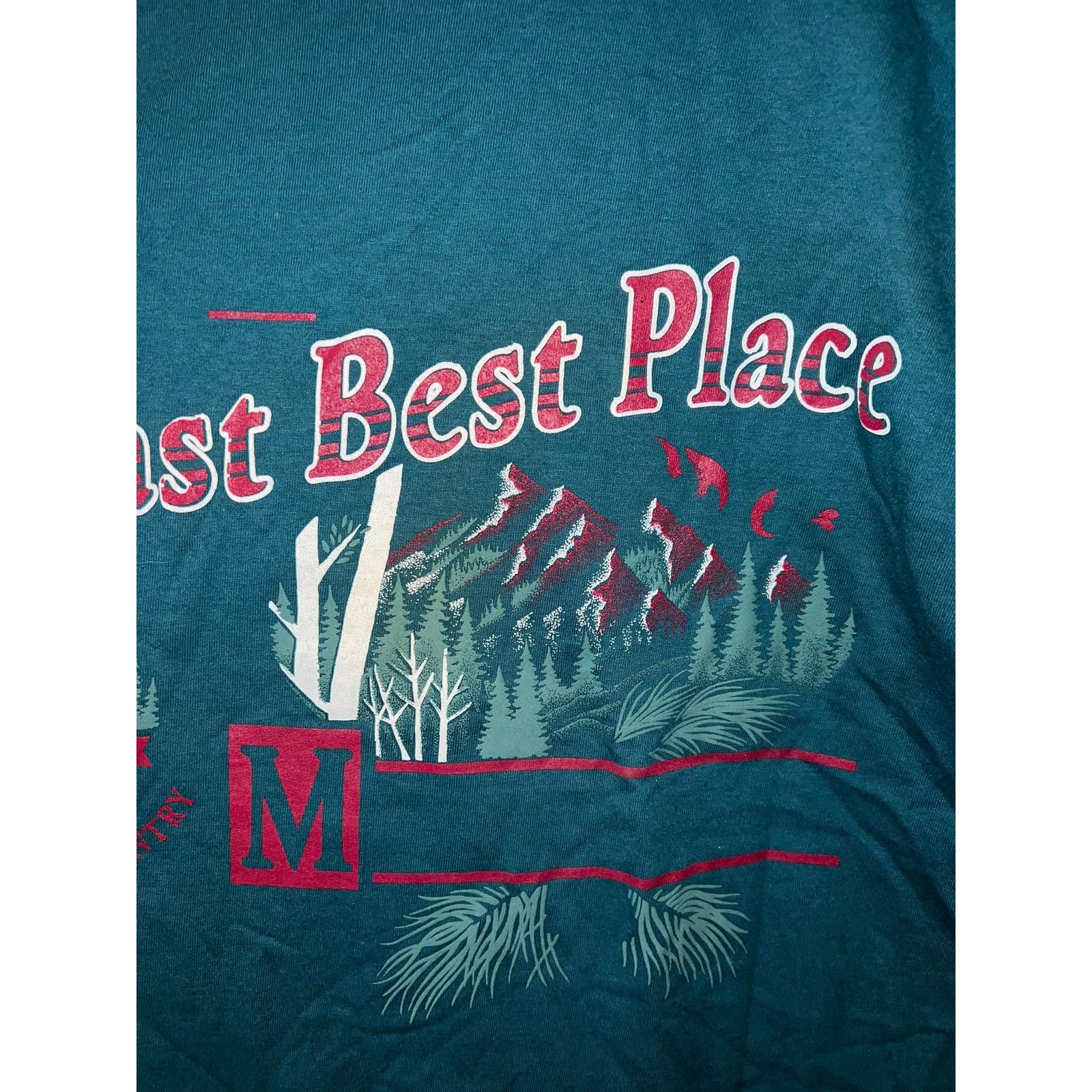 Jerzees Vintage Arizona Shirt 90s Last best Place Green Tee VTG M Size US M / EU 48-50 / 2 - 3 Thumbnail