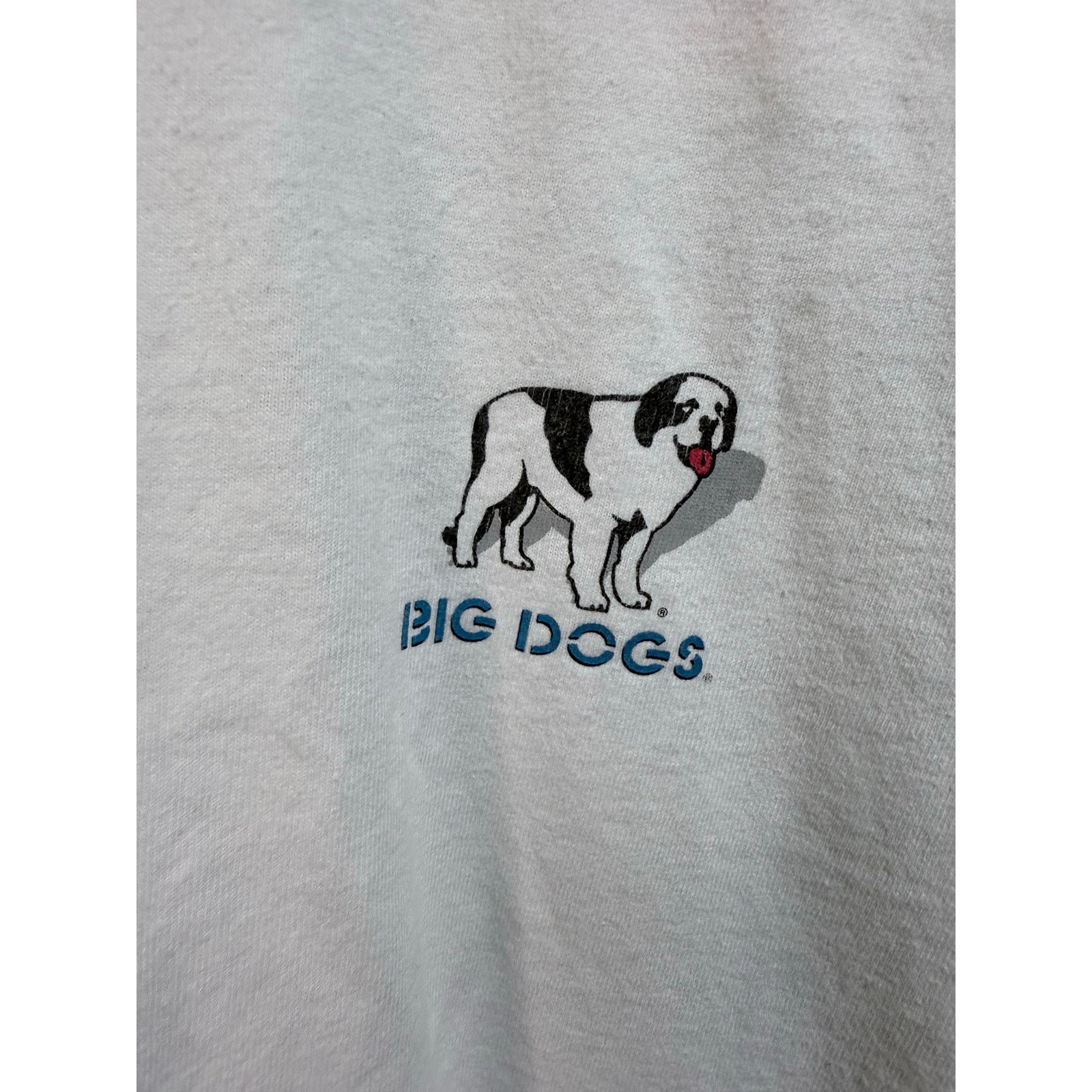 Big Dogs Large 98’ big dogs swimming tee Size US L / EU 52-54 / 3 - 4 Thumbnail