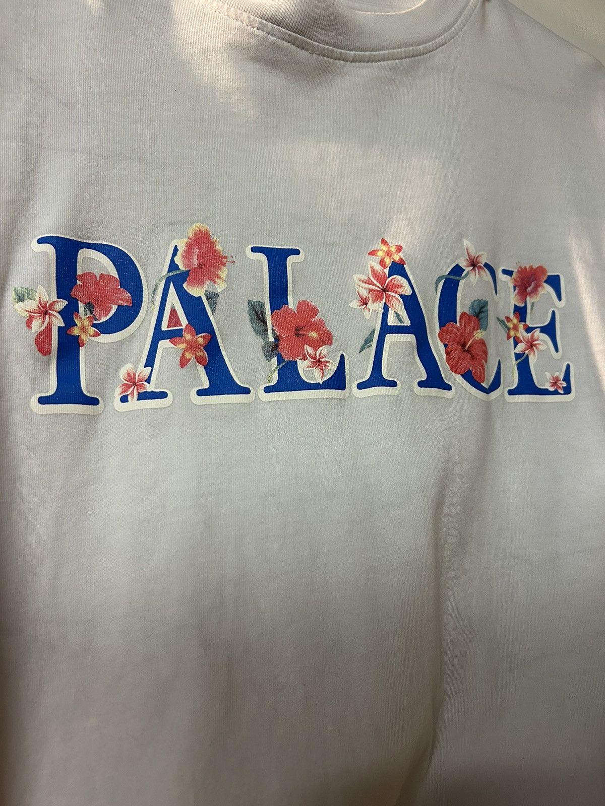 Palace Palace Thanks a Bunch T-shirt White Size US XL / EU 56 / 4 - 3 Thumbnail