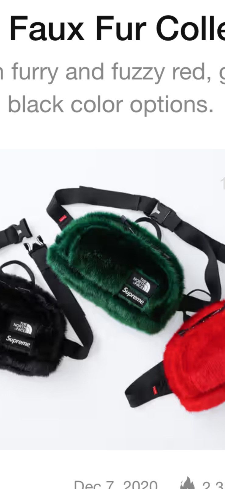 Supreme × The North Face SUPREME X THE NORTH FACE BELT BAG NWT Size ONE SIZE - 11 Thumbnail