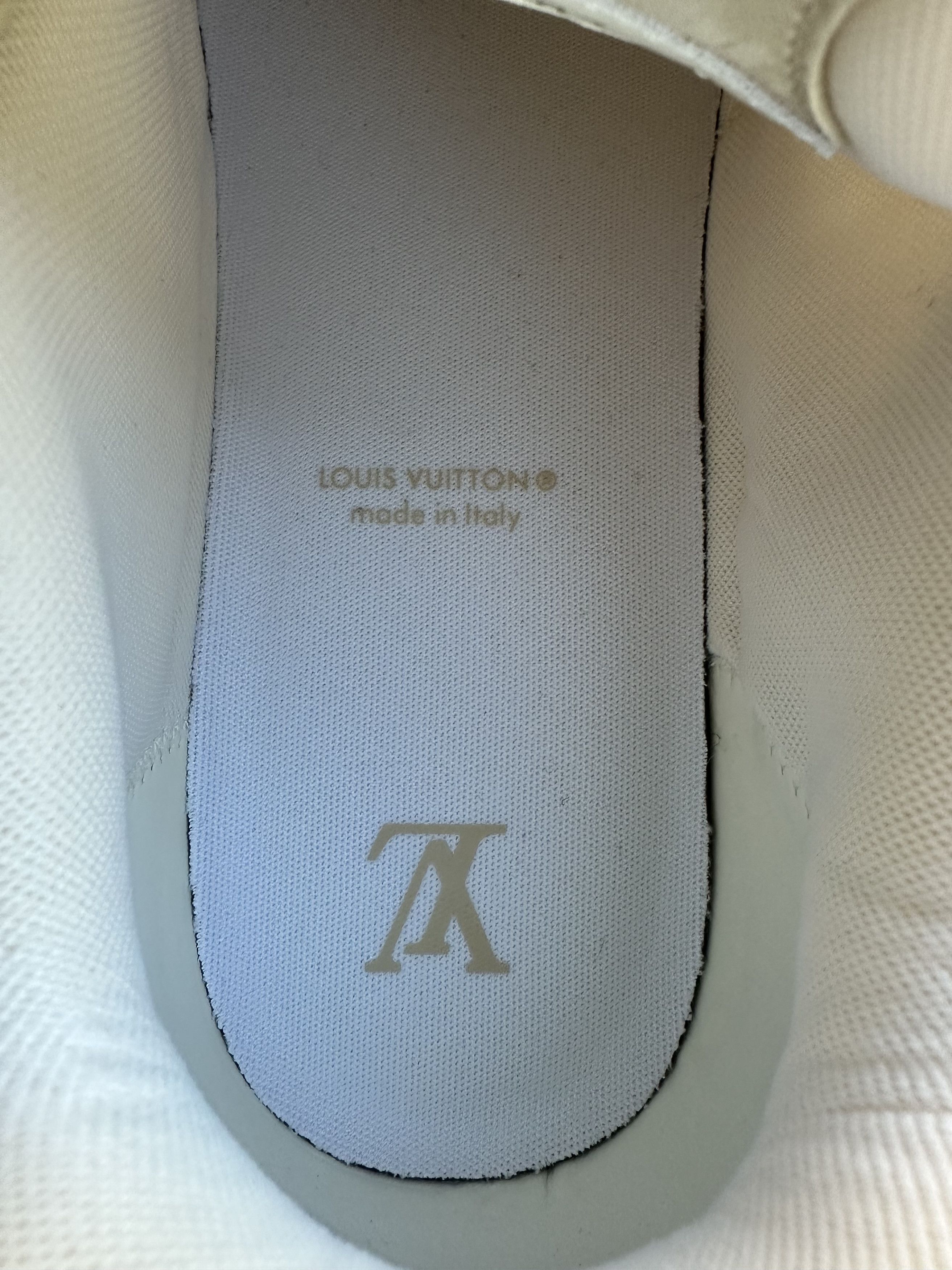 Louis Vuitton Louis Vuitton Skate Sneakers Monogram Size US 9 / EU 42 - 9 Thumbnail