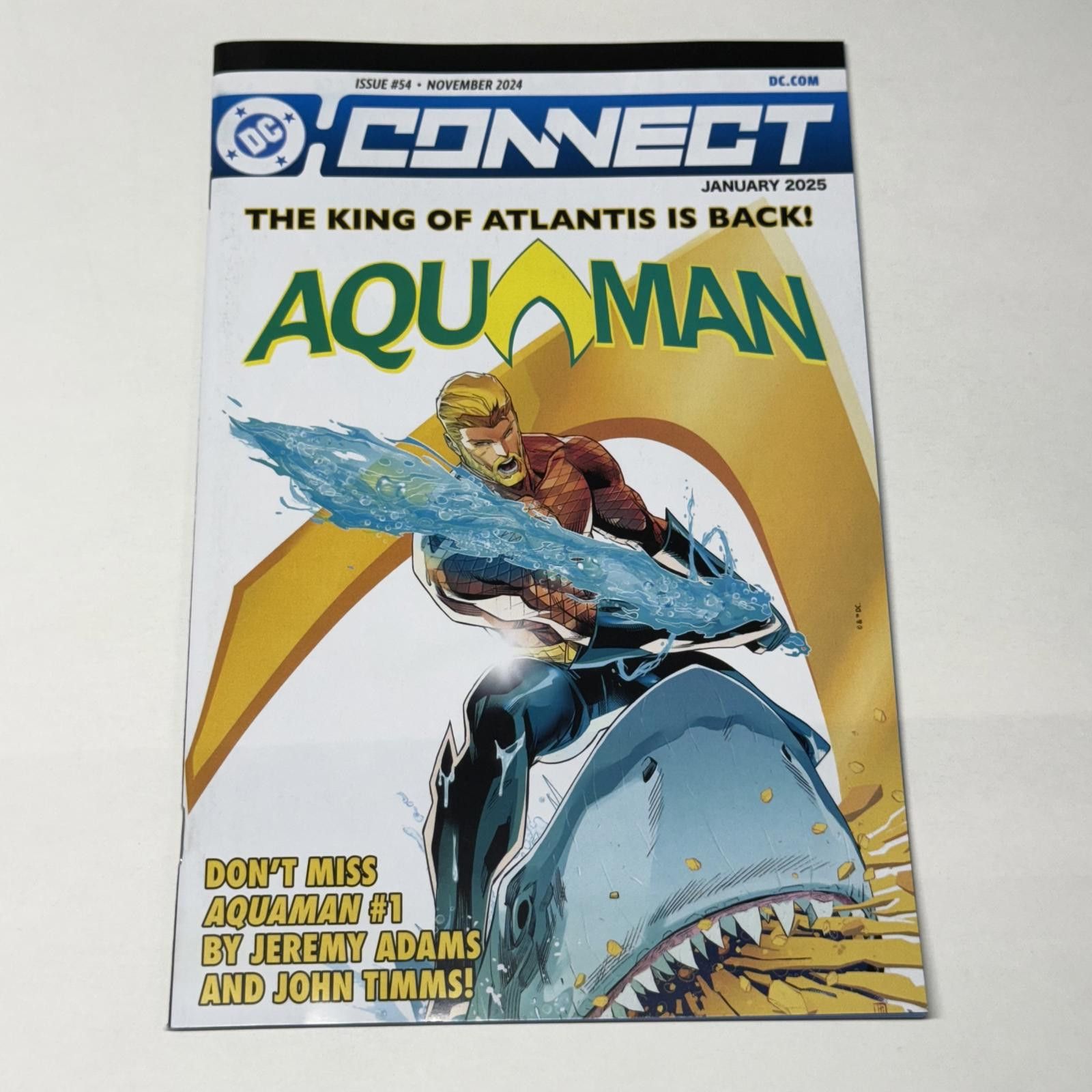 DC Comics DC Connect #54: Aquaman Returns Promo - November 2024 NM+ Size ONE SIZE - 1 Thumbnail