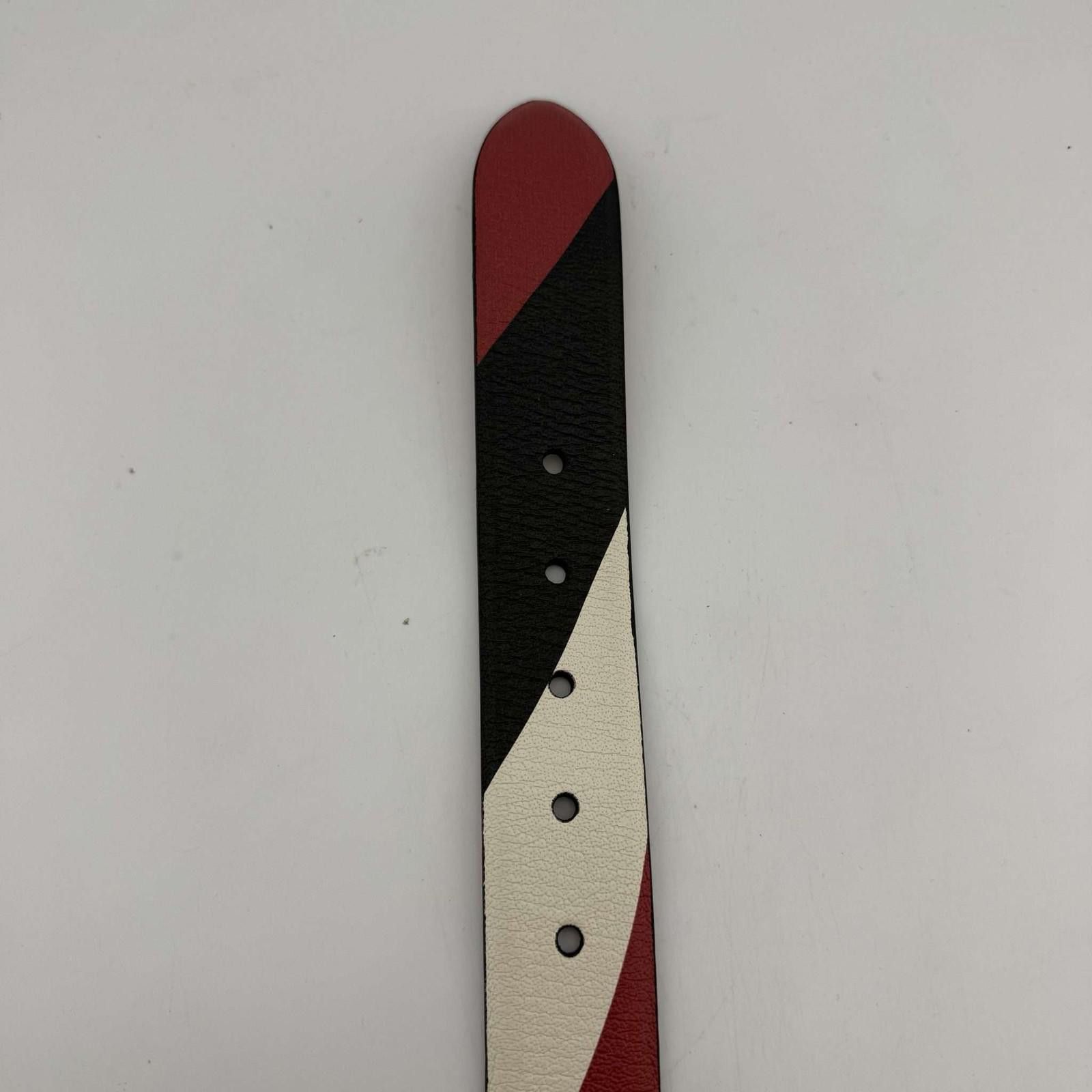 Alexander McQueen Skull Motif Red Belt 115 Used