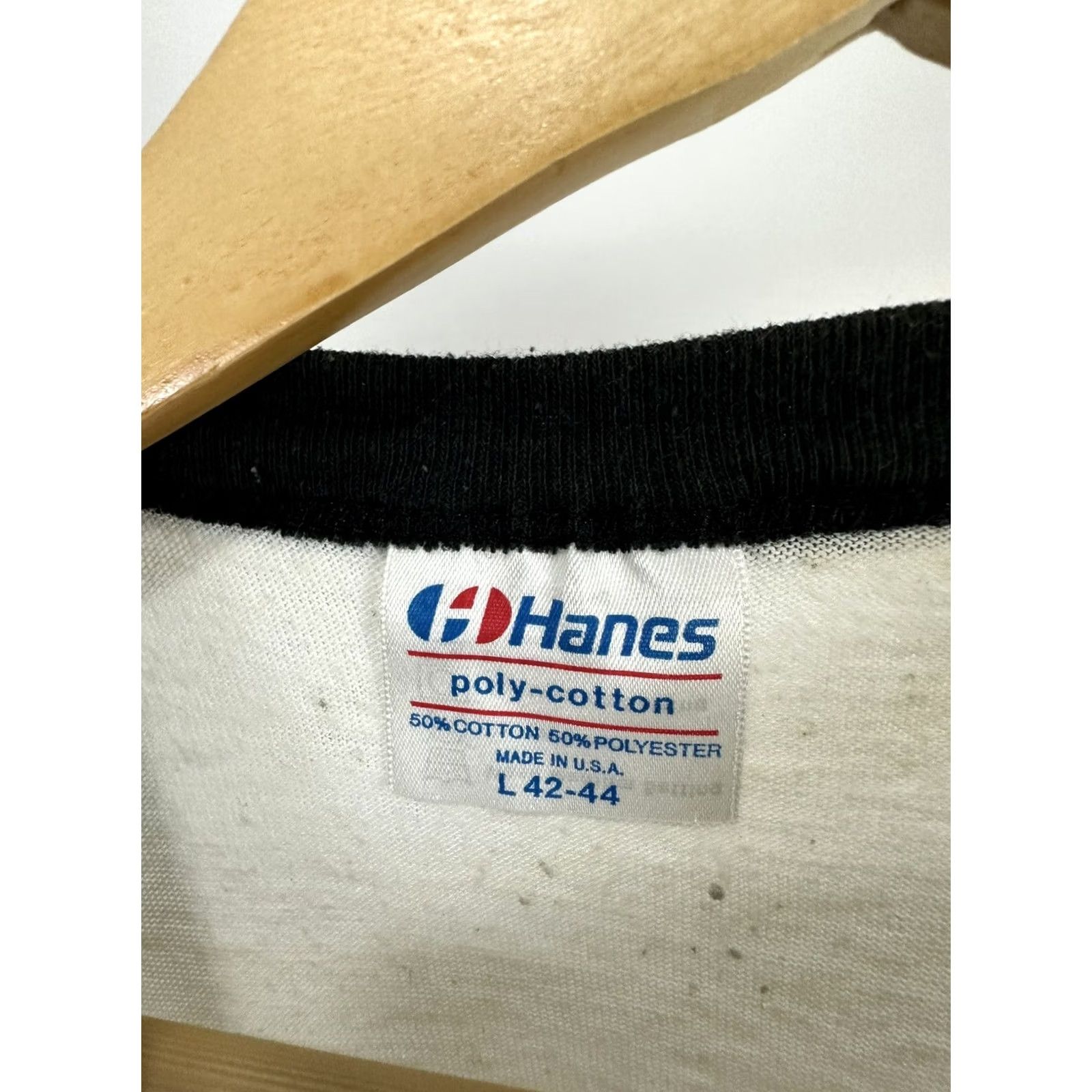 Hanes VTG 80s Autumn Leaves Festival MT Airy NC Raglan Paper Thin T-Shirt Size L Size US L / EU 52-54 / 3 - 4 Thumbnail